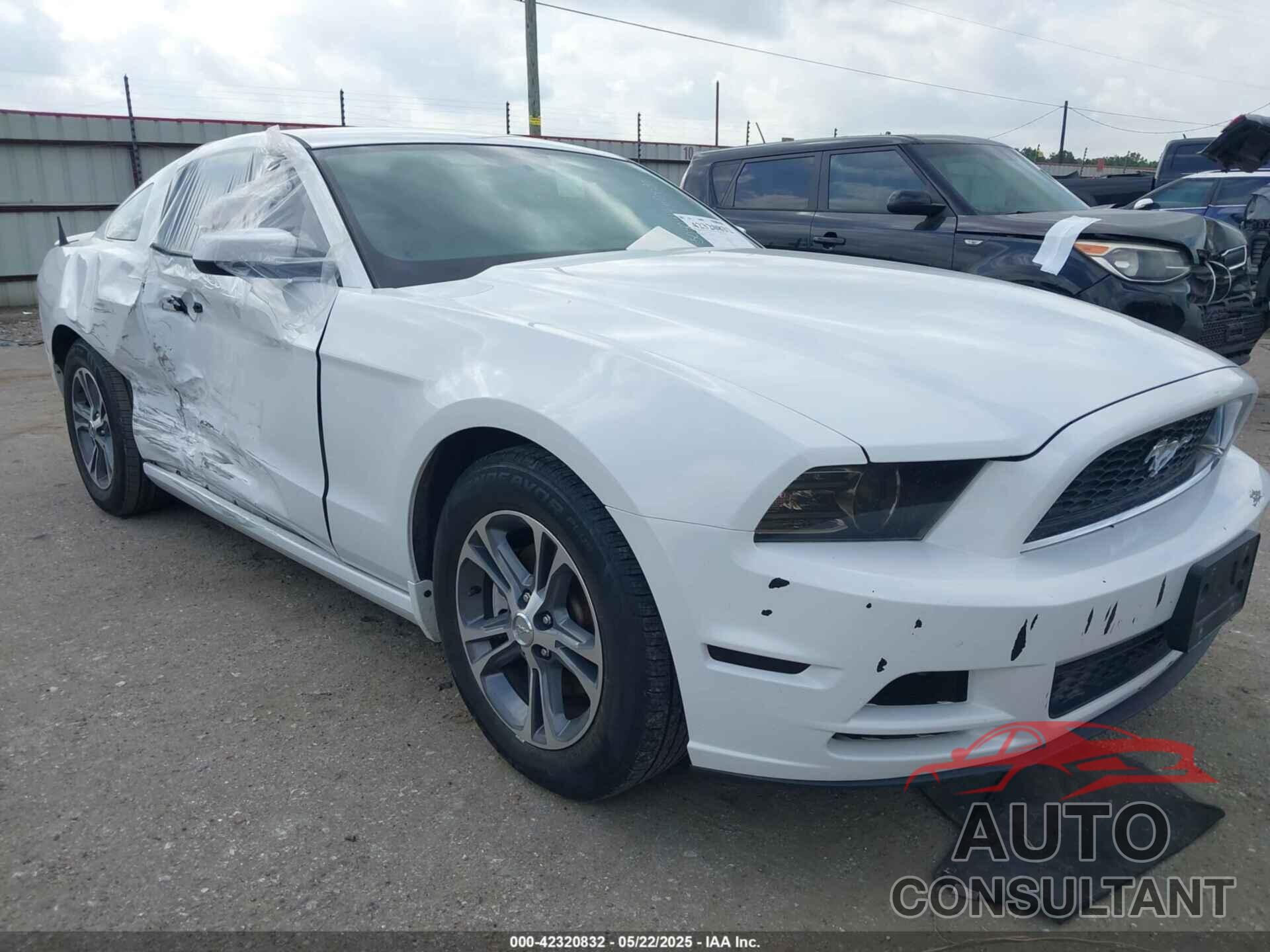 FORD MUSTANG 2014 - 1ZVBP8AM3E5292884