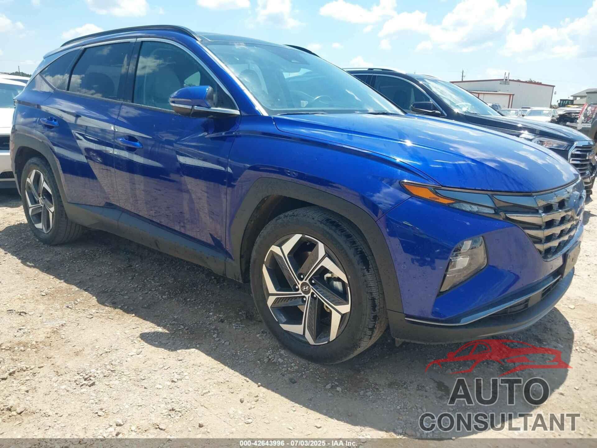 HYUNDAI TUCSON 2024 - 5NMJE3DE6RH355409