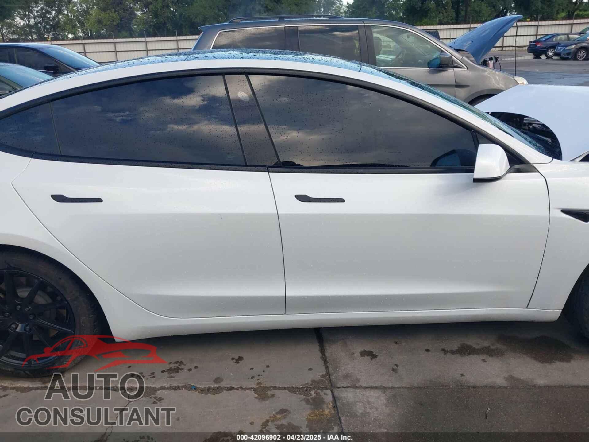 TESLA MODEL 3 2021 - 5YJ3E1EA3MF874212