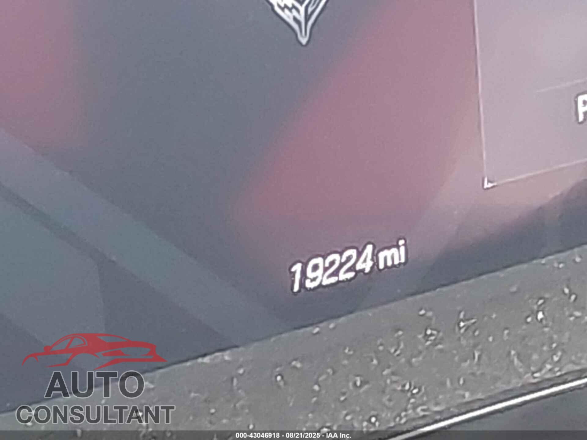 CHEVROLET CORVETTE STINGRAY 2022 - 1G1YA2D46N5115116