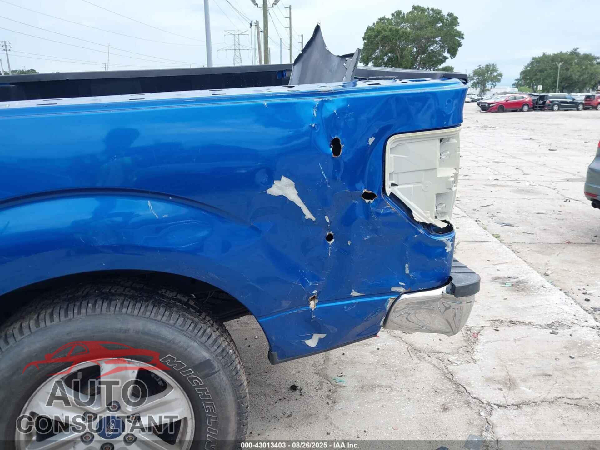 FORD F-150 2010 - 1FTFW1EV3AFA91816