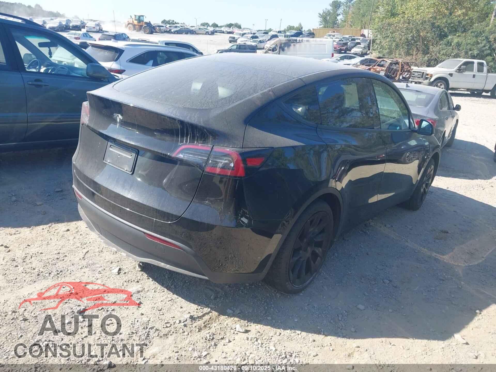 TESLA MODEL Y 2024 - 7SAYGDED5RA316669