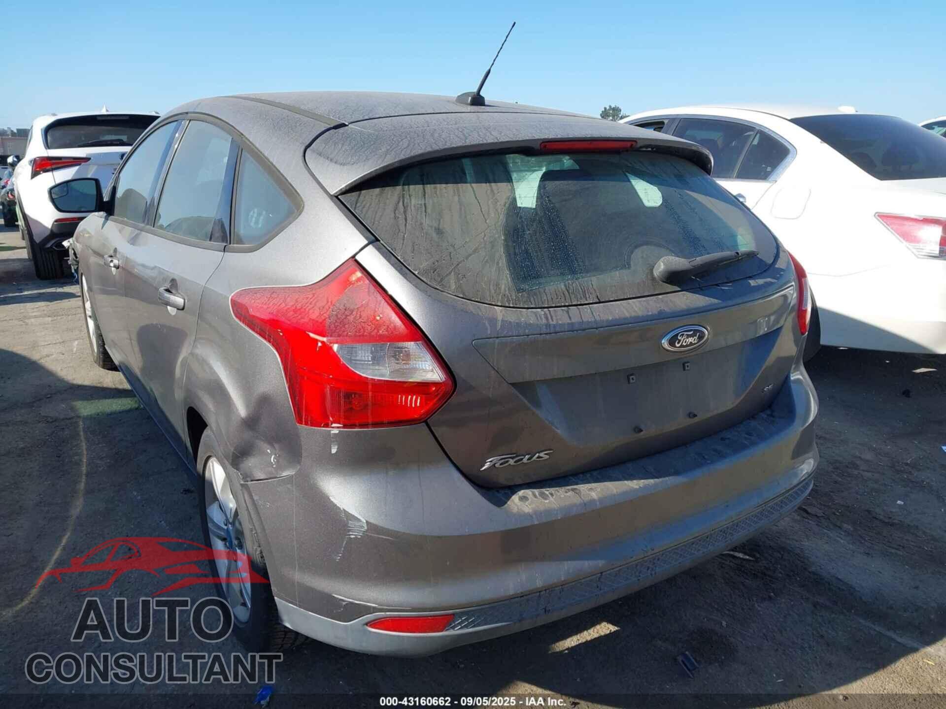 FORD FOCUS 2013 - 1FADP3K24DL156694