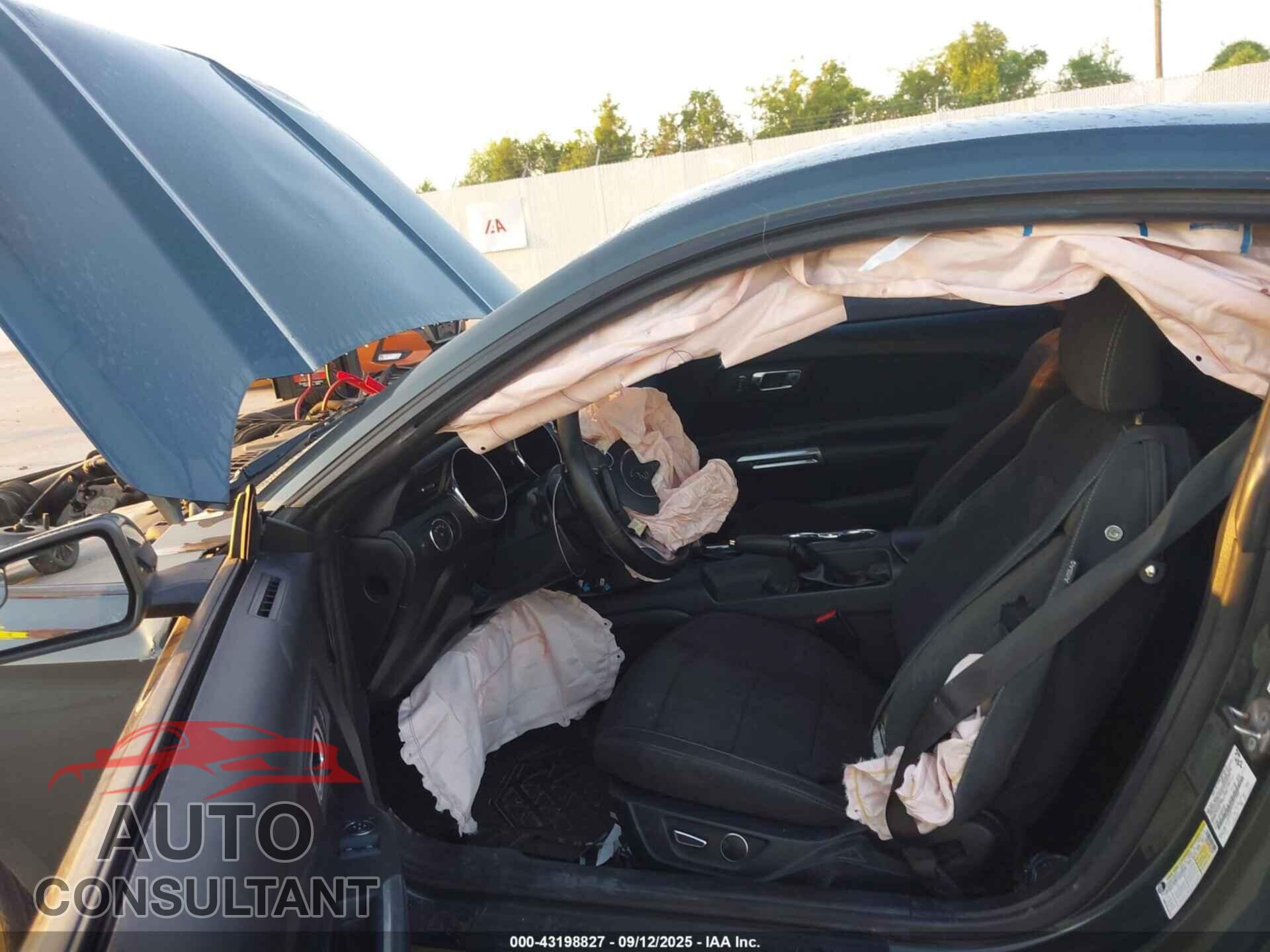 FORD MUSTANG 2016 - 1FA6P8AM5G5210084