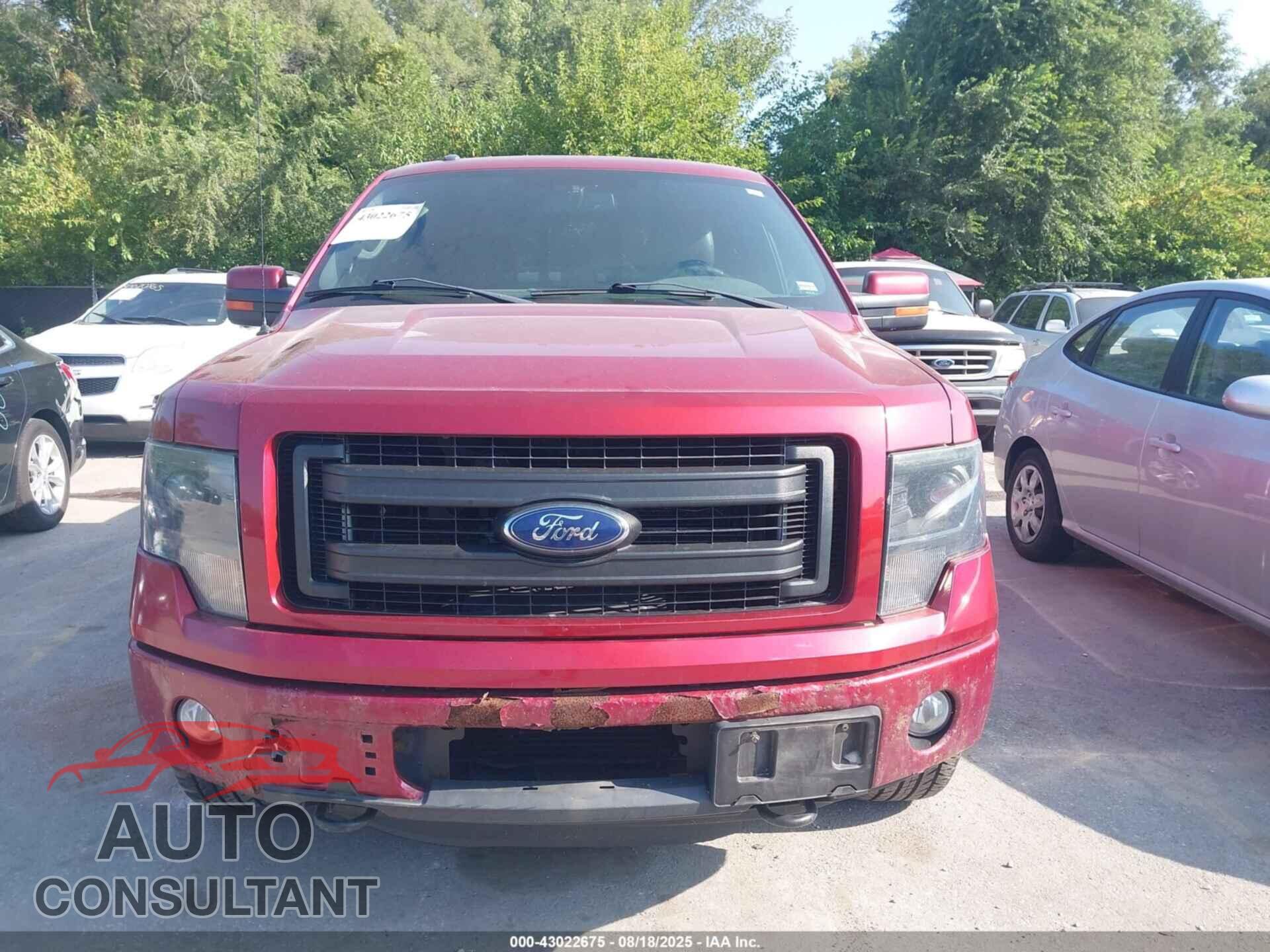 FORD F-150 2013 - 1FTFW1ET1DKE03237
