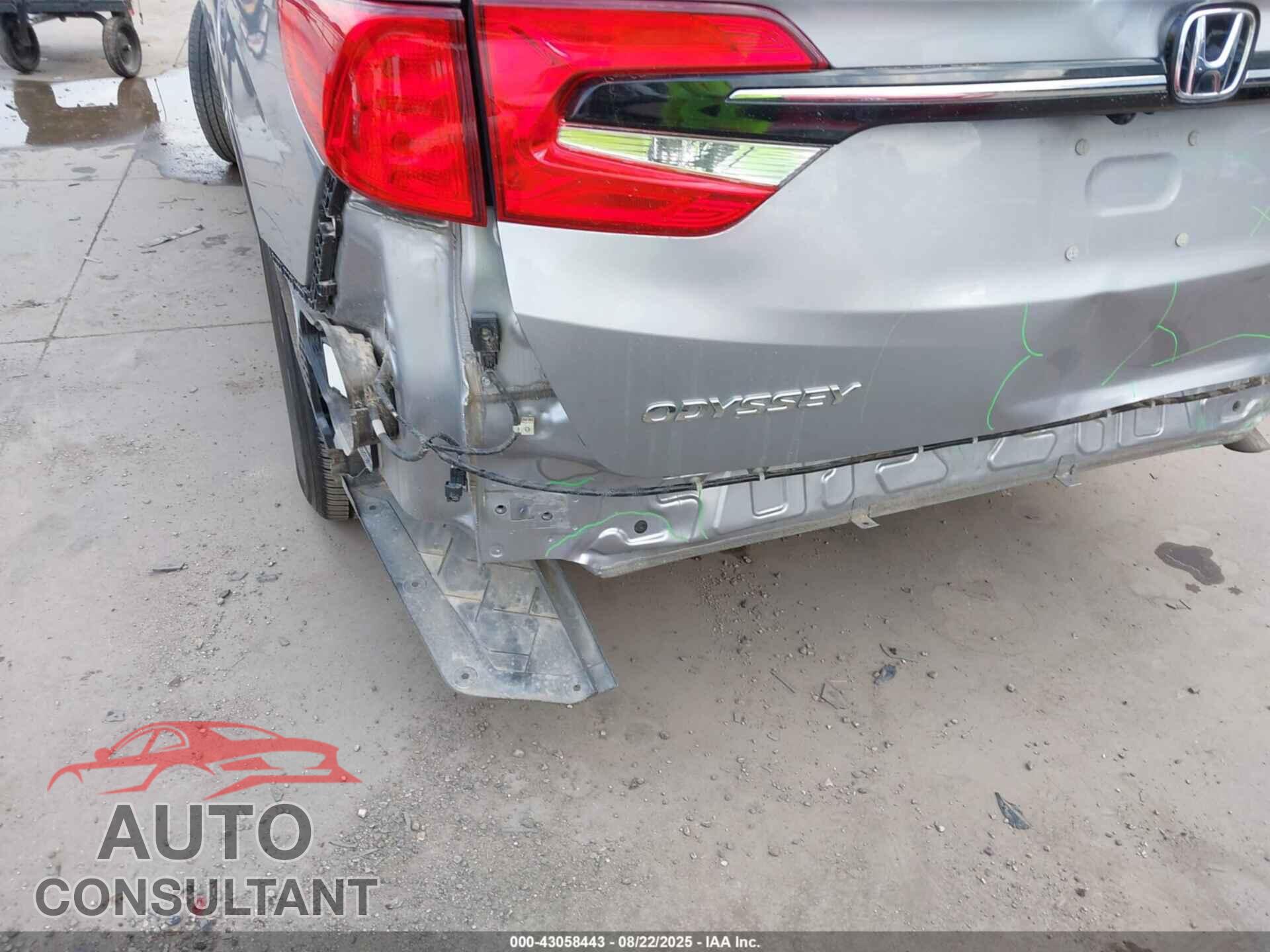 HONDA ODYSSEY 2024 - 5FNRL6H61RB044727