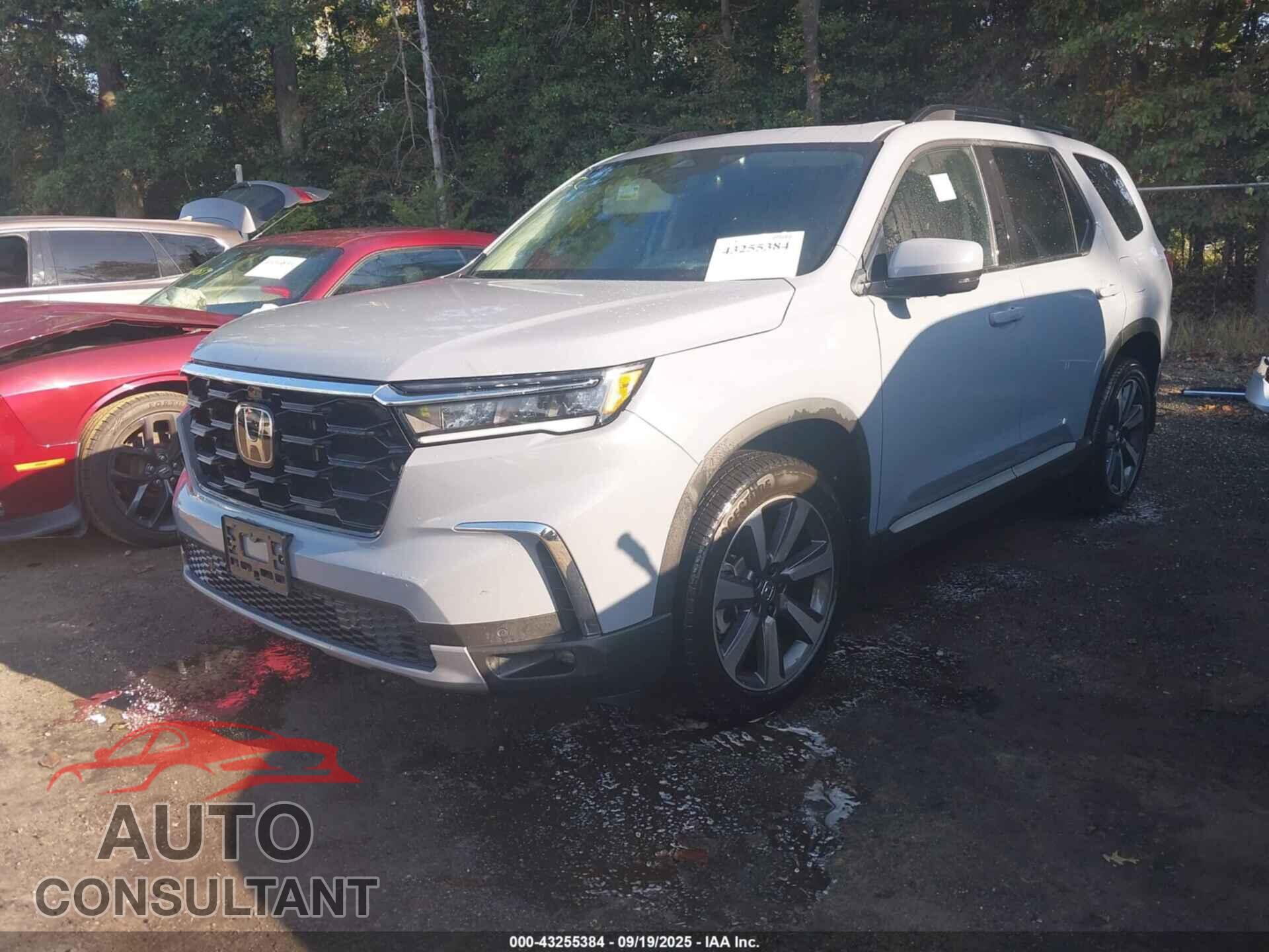 HONDA PILOT 2023 - 5FNYG1H85PB021498