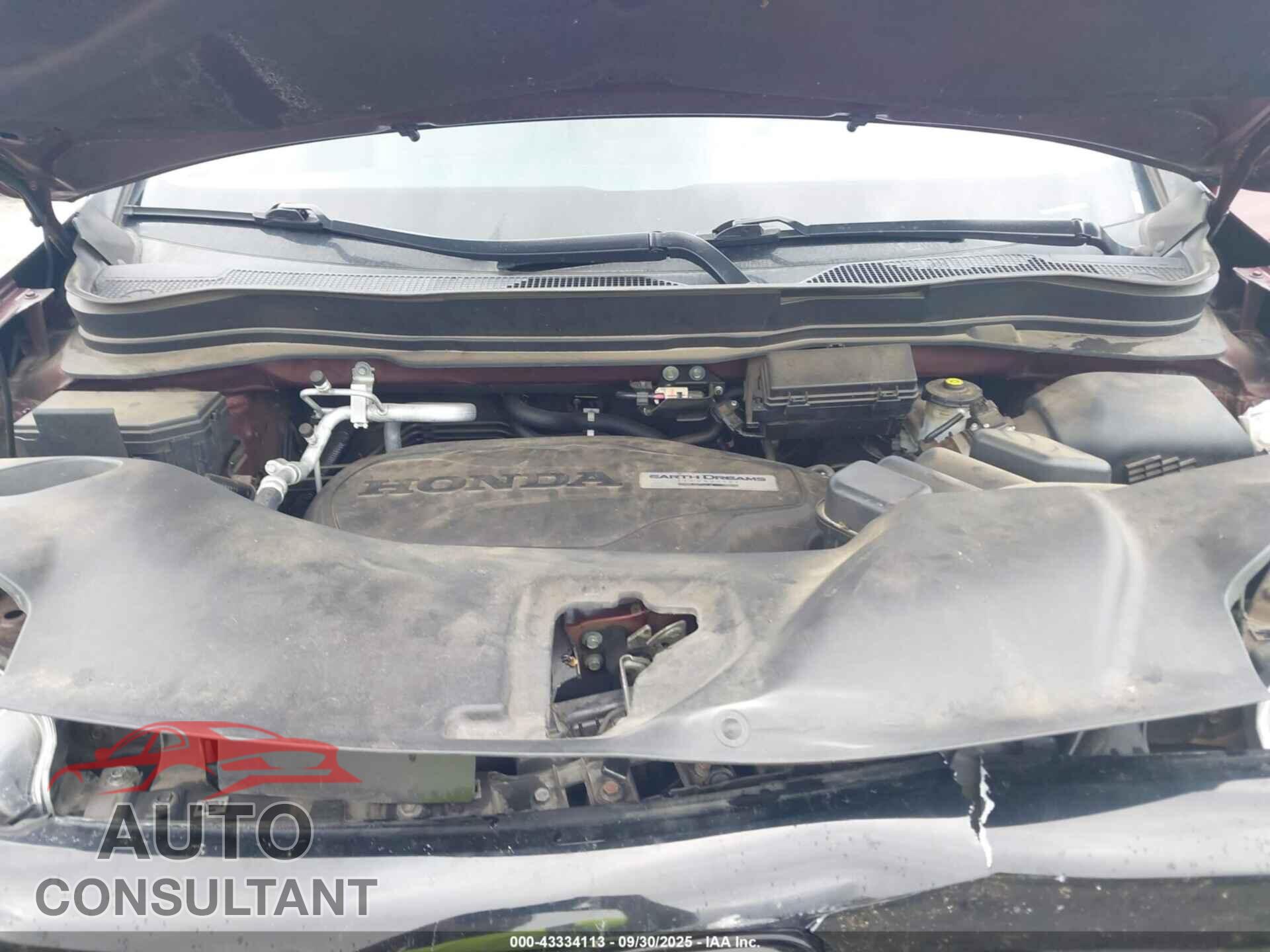 HONDA PASSPORT 2019 - 5FNYF8H96KB008546