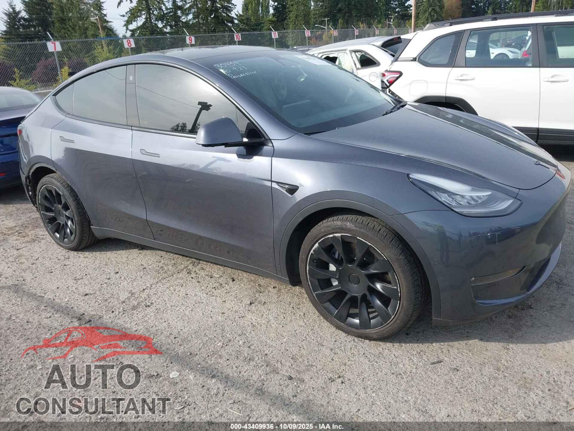 TESLA MODEL Y 2021 - 5YJYGDEE5MF072085