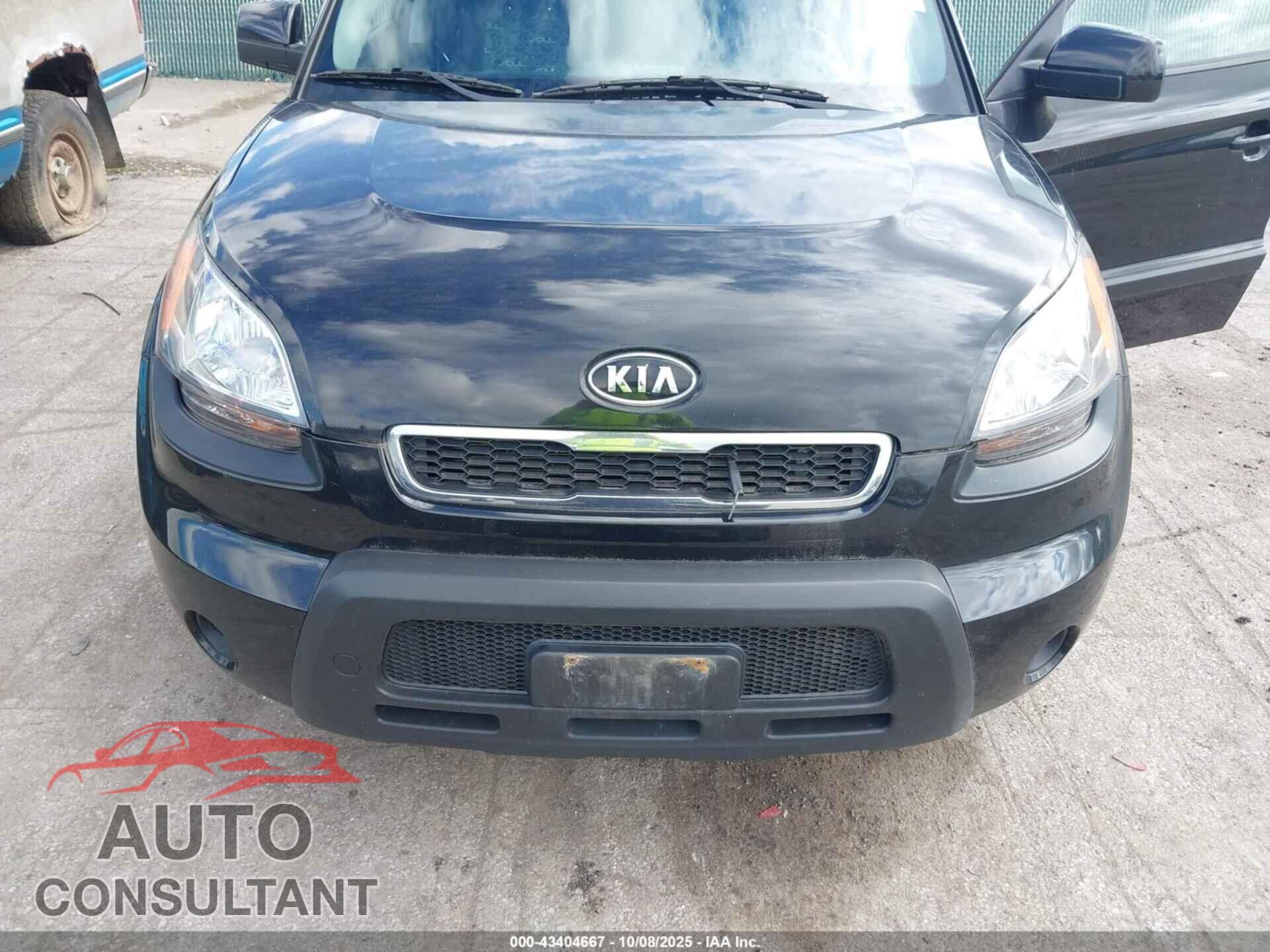 KIA SOUL 2011 - KNDJT2A21B7203903