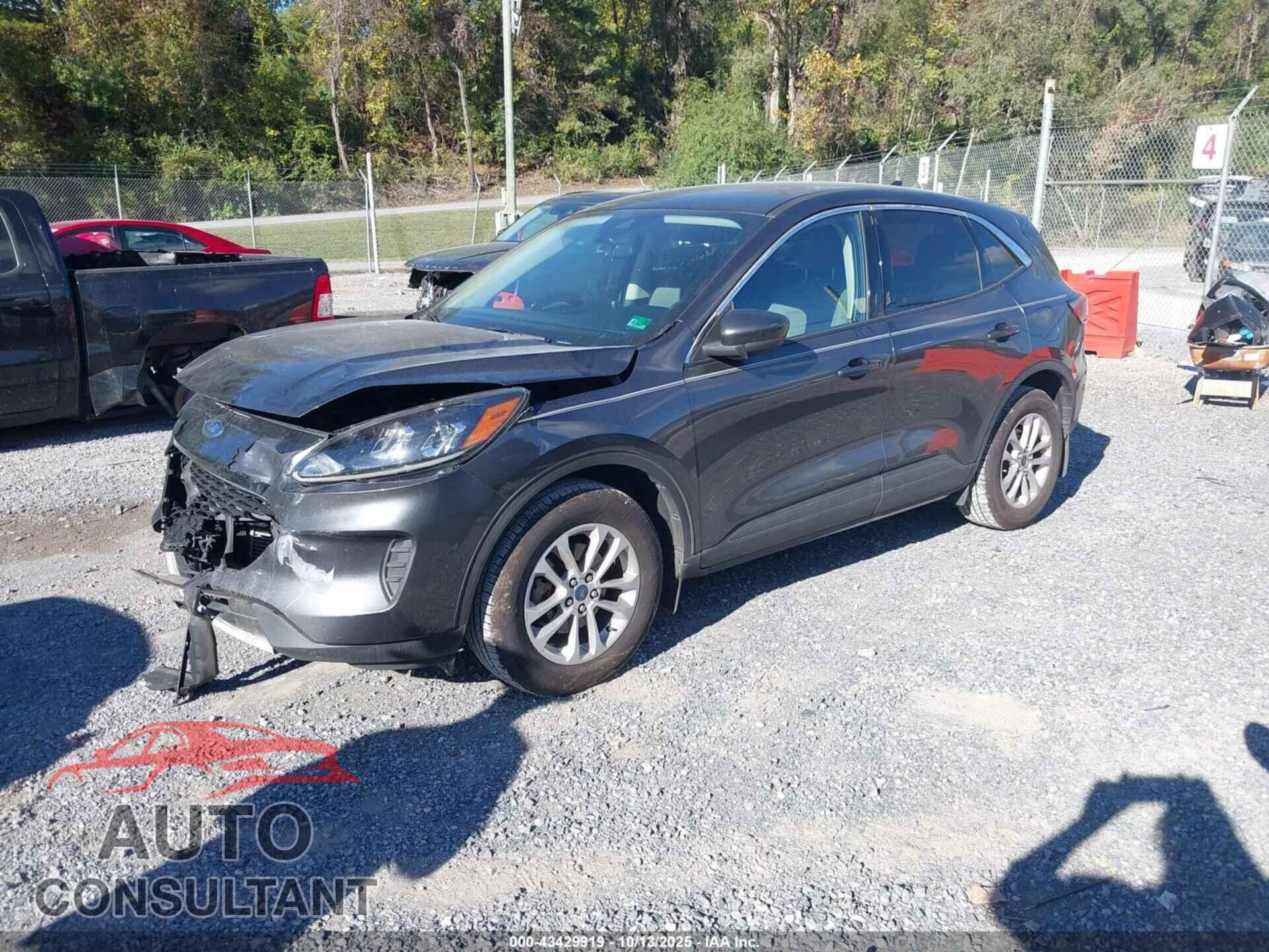 FORD ESCAPE 2020 - 1FMCU9G61LUA96813