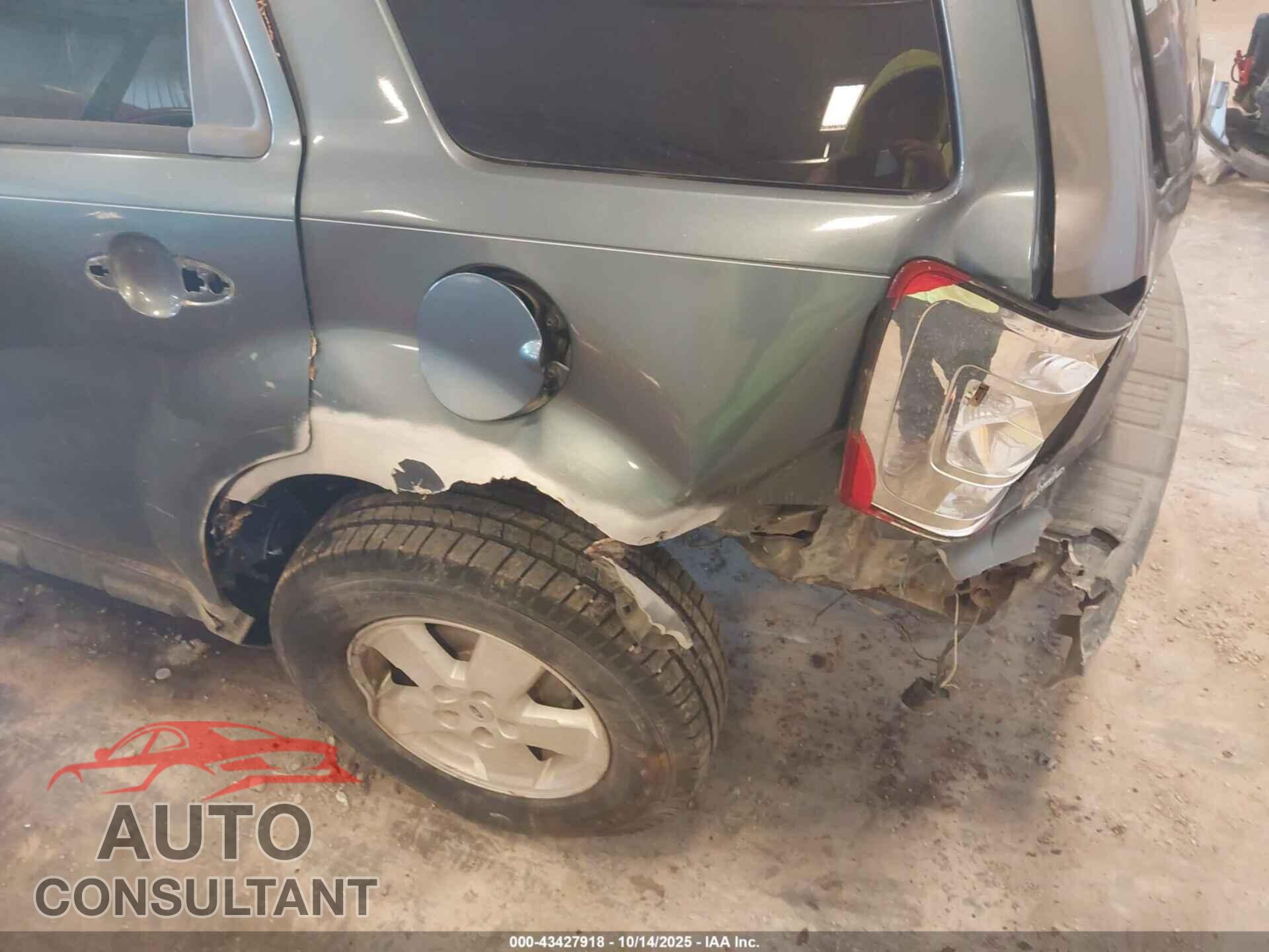FORD ESCAPE 2010 - 1FMCU9D70AKC14713