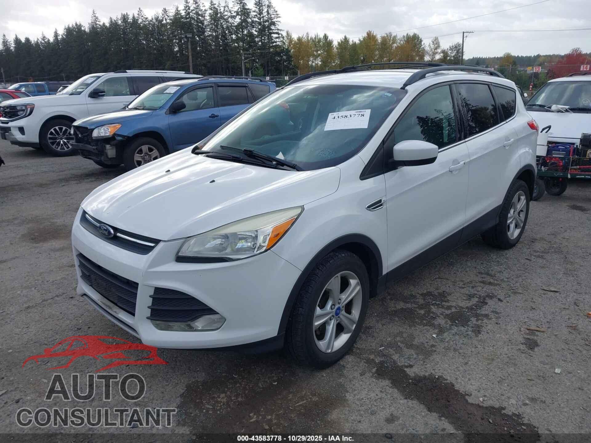 FORD ESCAPE 2013 - 1FMCU0GX0DUC24898