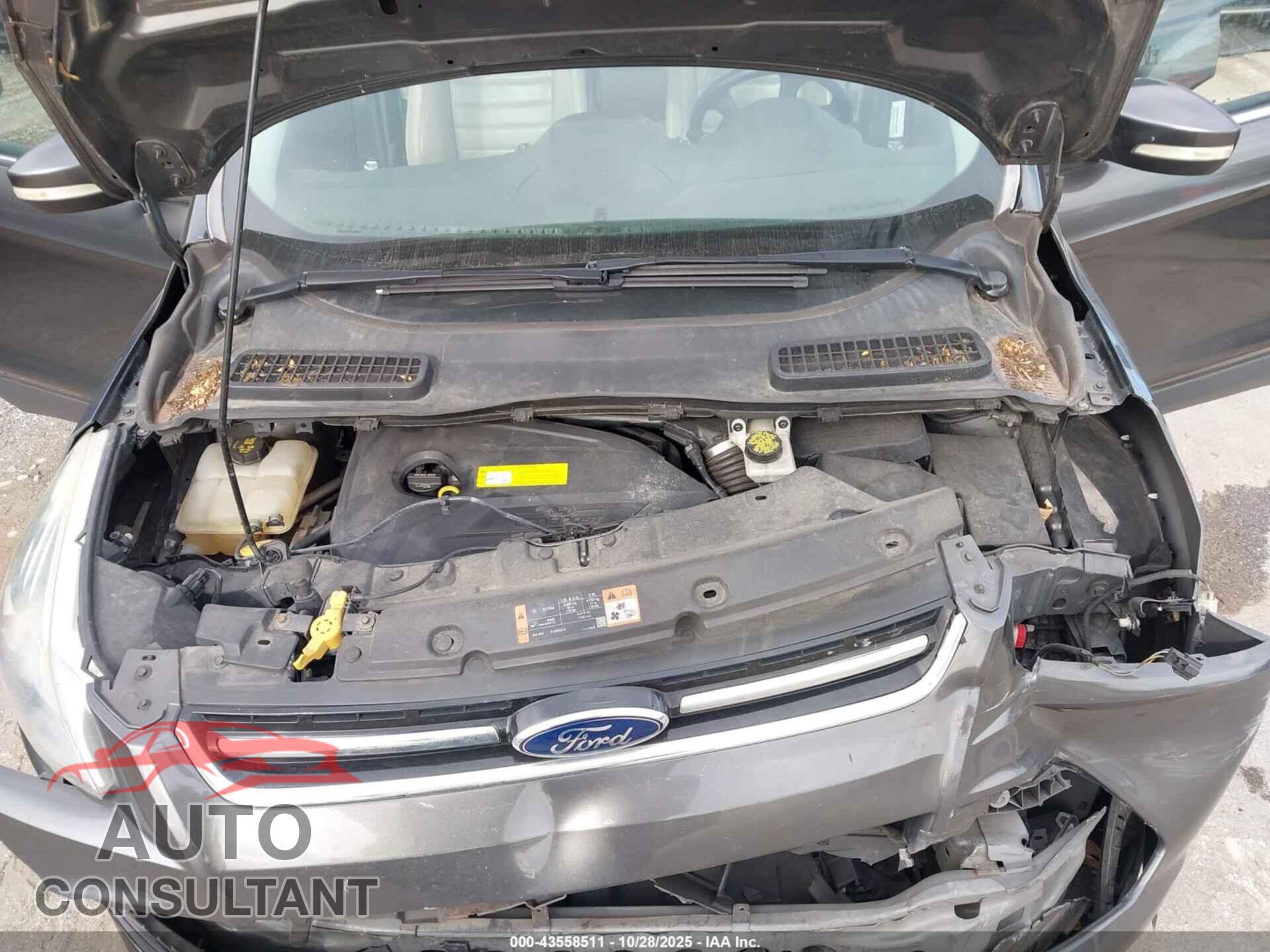 FORD ESCAPE 2015 - 1FMCU0JX8FUB71346