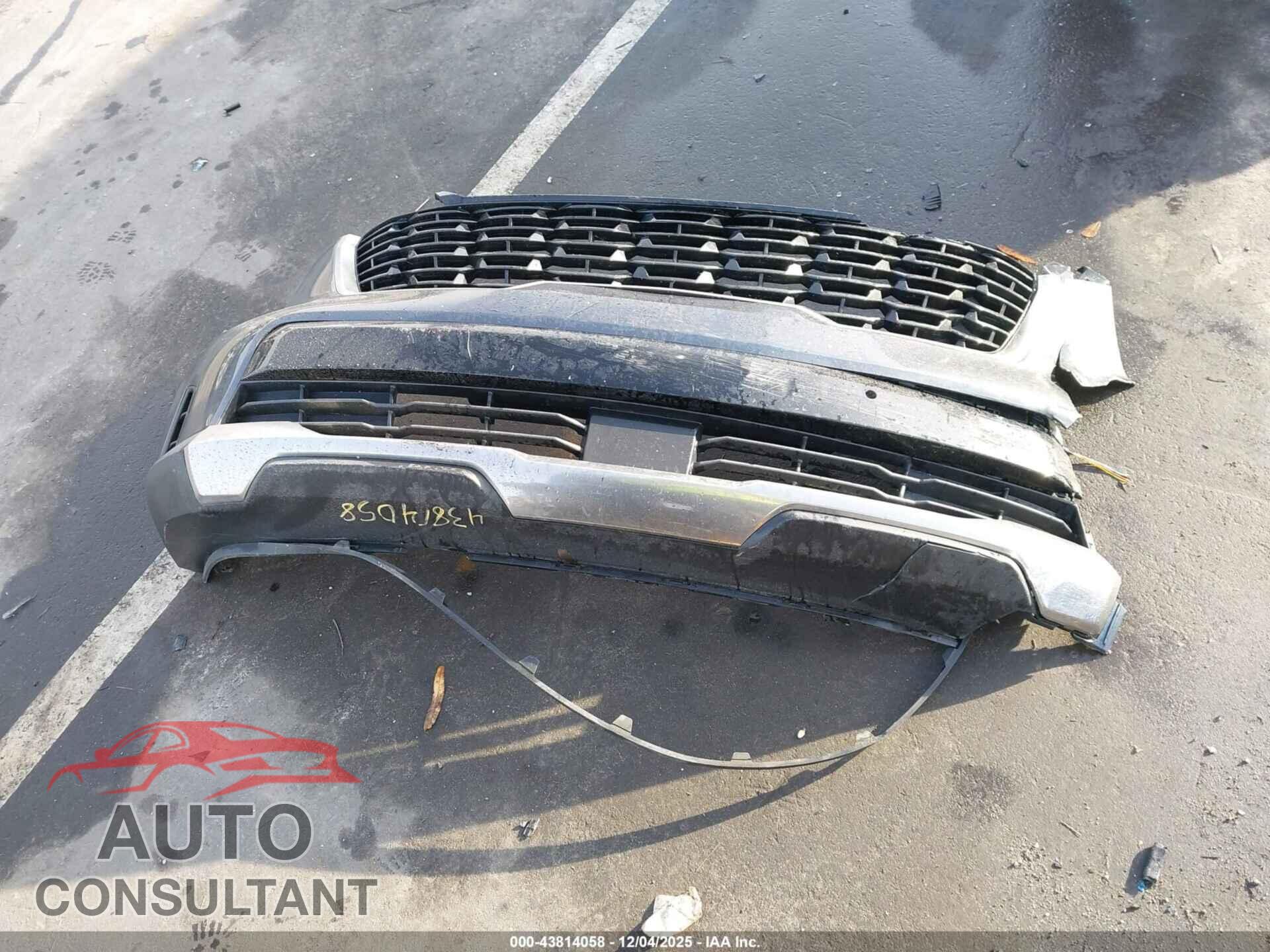 KIA SORENTO 2024 - 5XYRL4JC7RG269070
