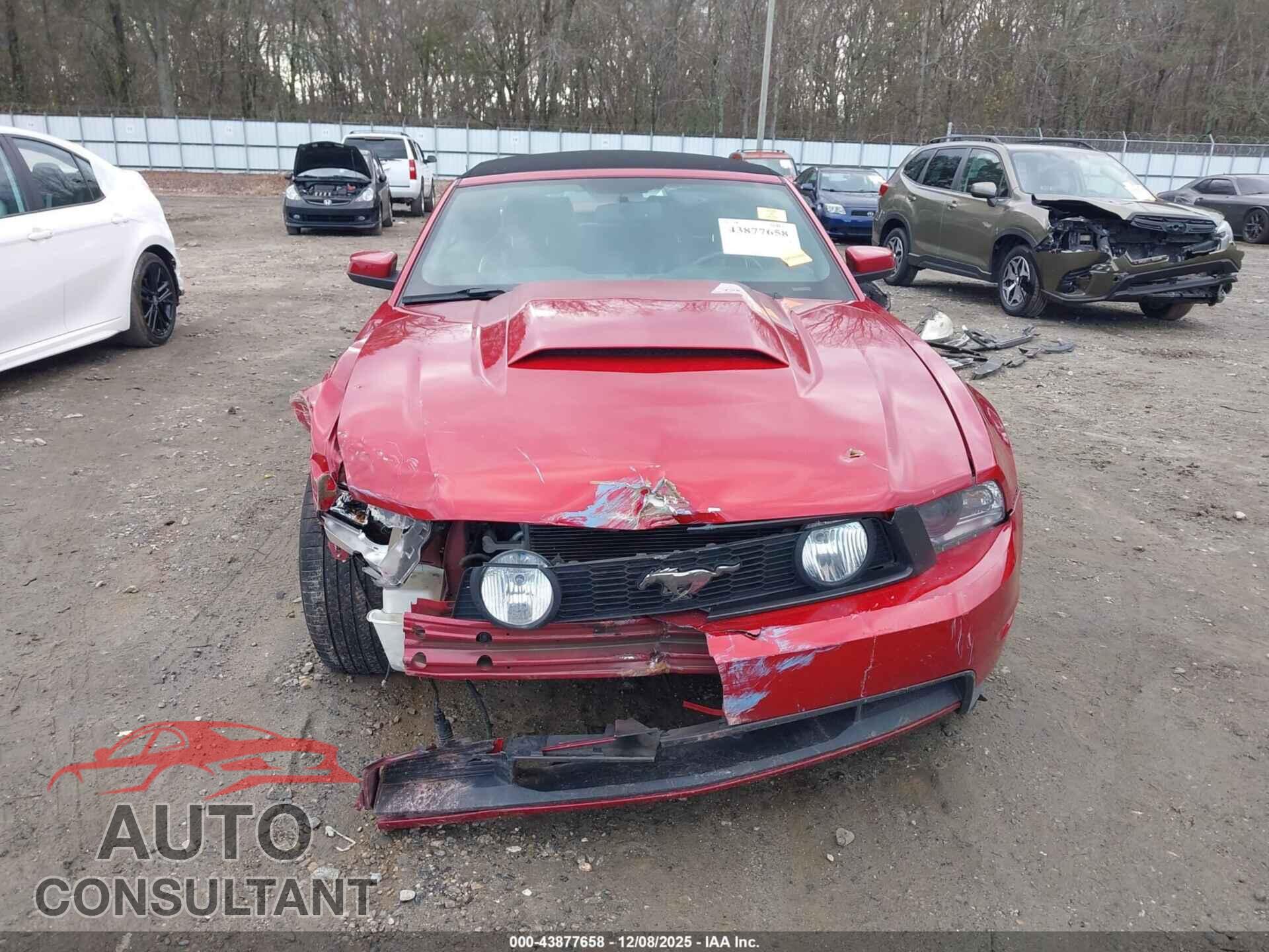 FORD MUSTANG 2012 - 1ZVBP8FF7C5220397