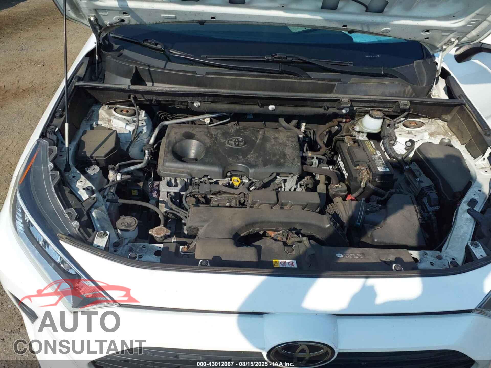TOYOTA RAV4 2019 - JTMP1RFV5KJ001466