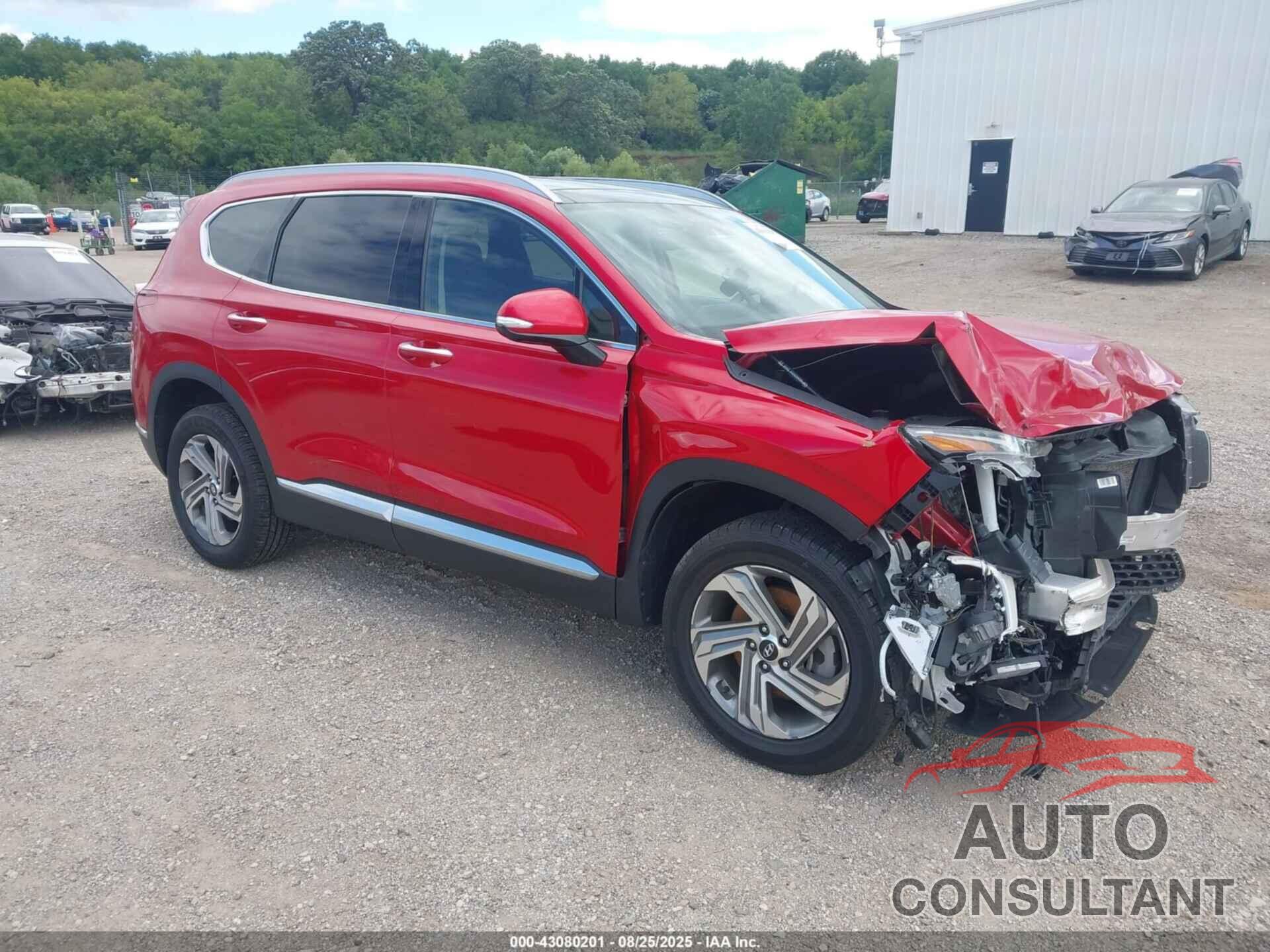 HYUNDAI SANTA FE 2023 - 5NMS3DAJ2PH530396