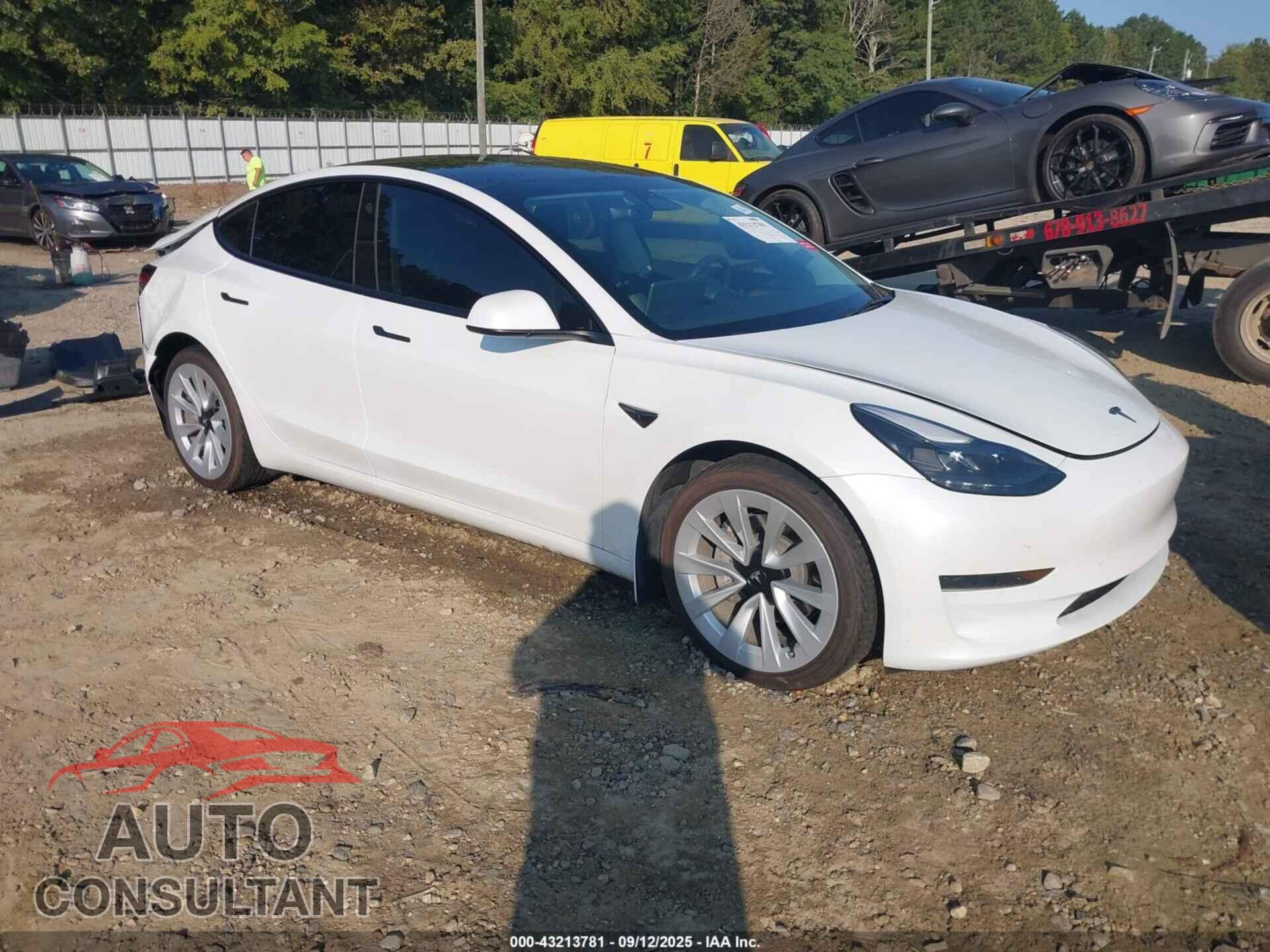 TESLA MODEL 3 2023 - 5YJ3E1EAXPF546841