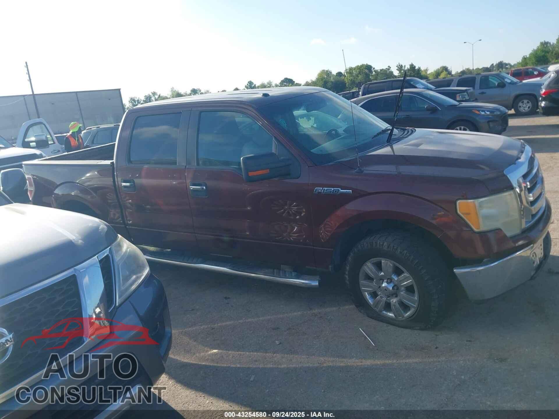 FORD F-150 2010 - 1FTEW1C86AFD32504
