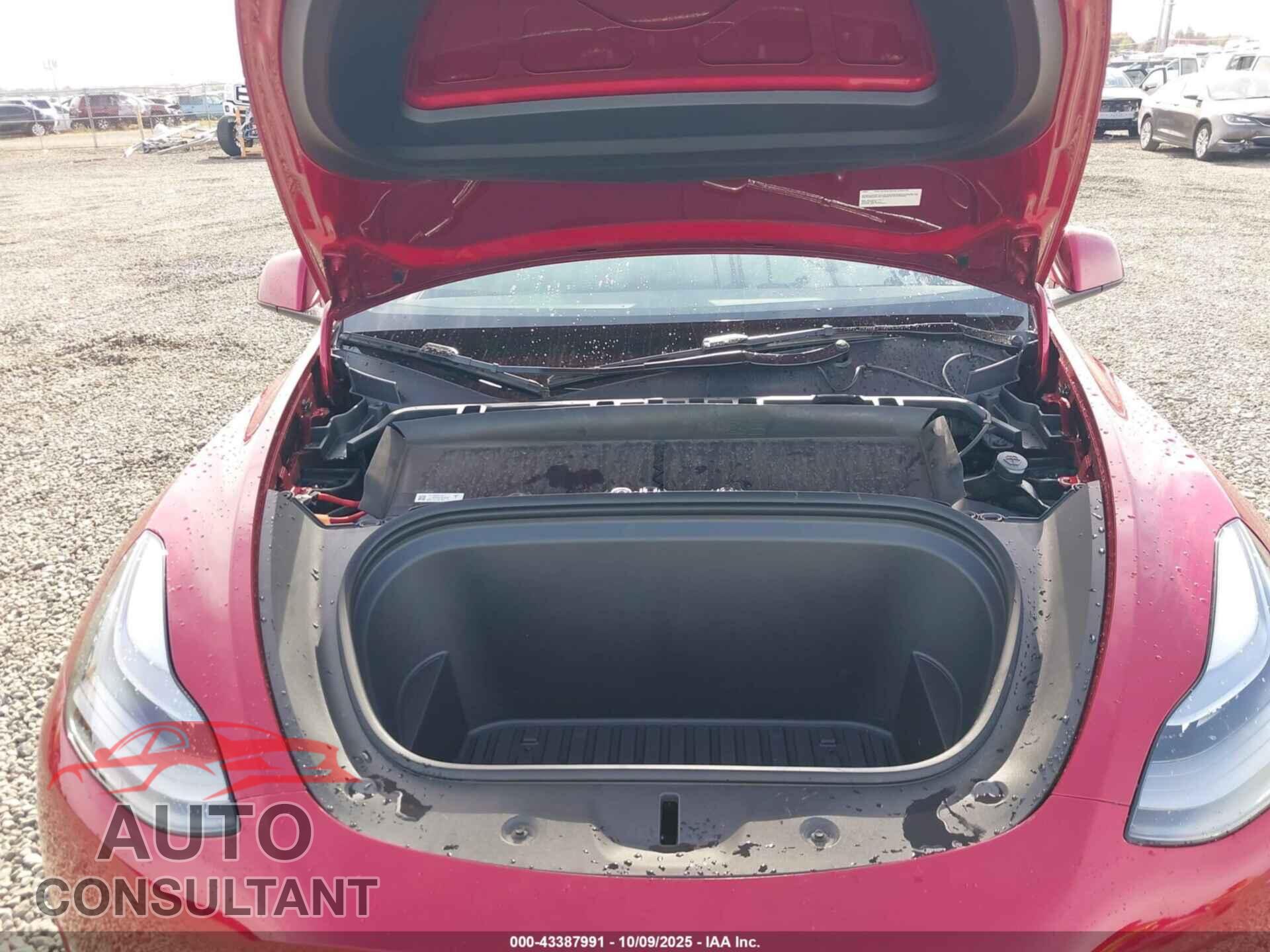TESLA MODEL Y 2024 - 7SAYGDEF9RF079267