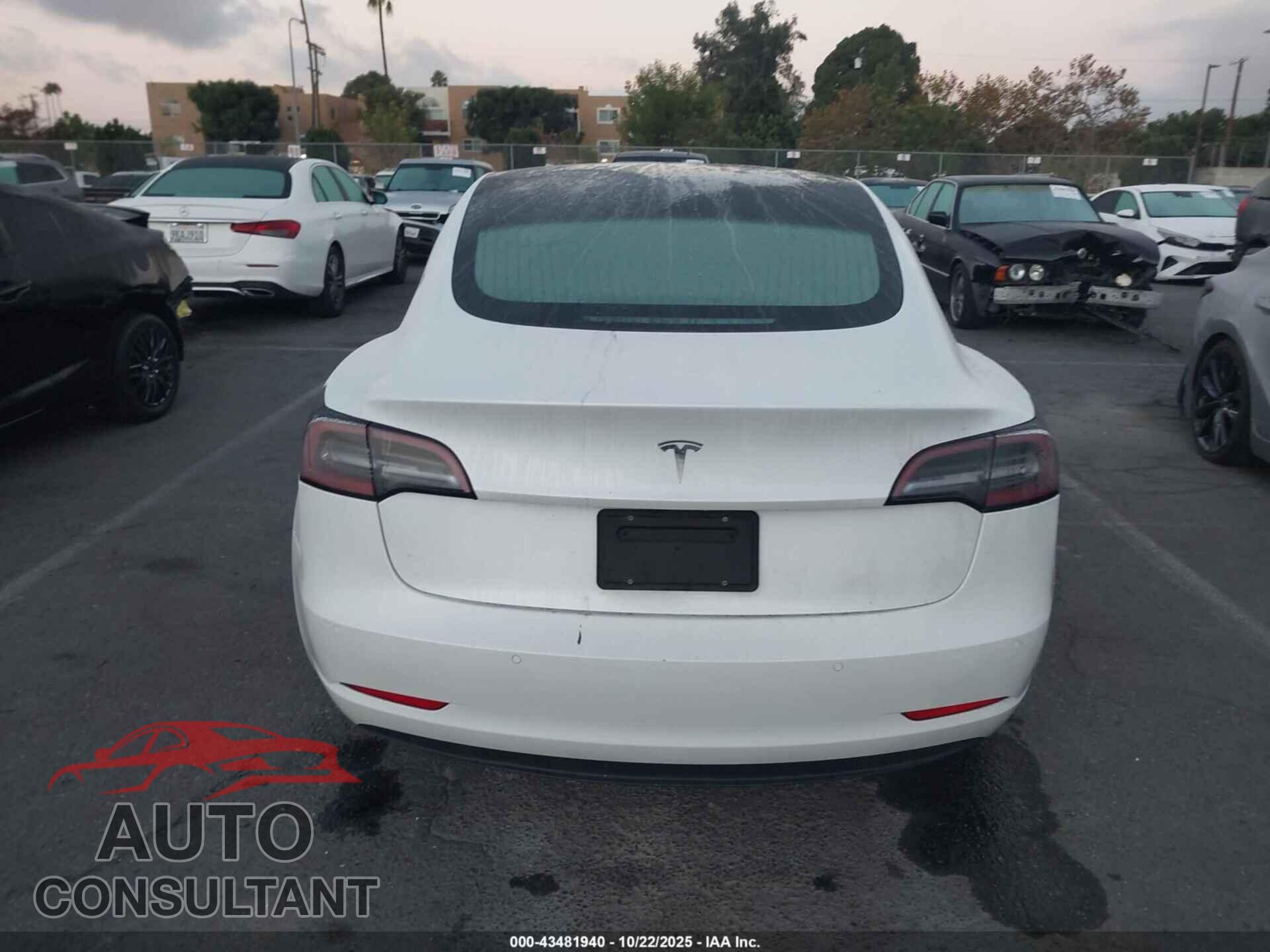 TESLA MODEL 3 2020 - 5YJ3E1EA5LF744897