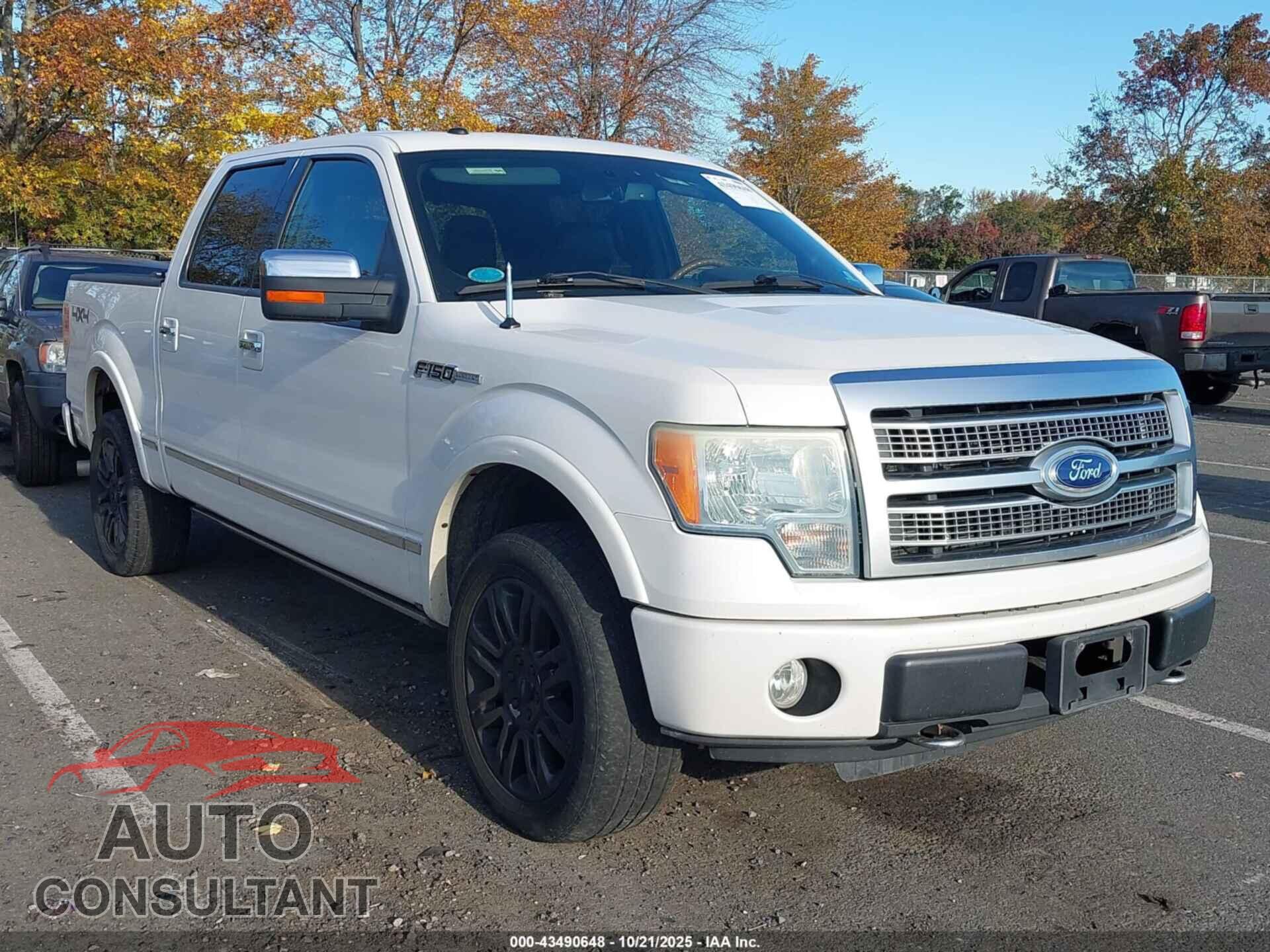 FORD F-150 2010 - 1FTFW1EV9AFB34605