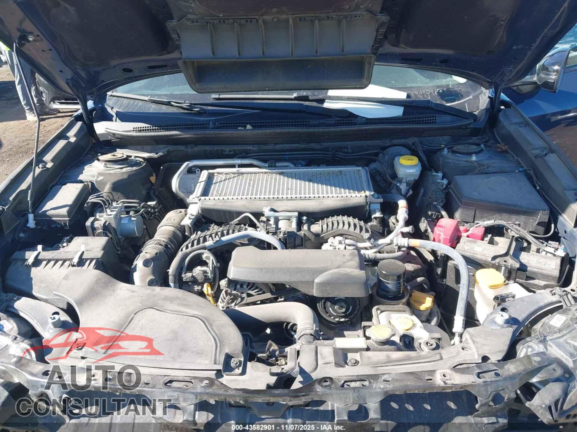 SUBARU OUTBACK 2025 - 4S4BTGLD1S3149845