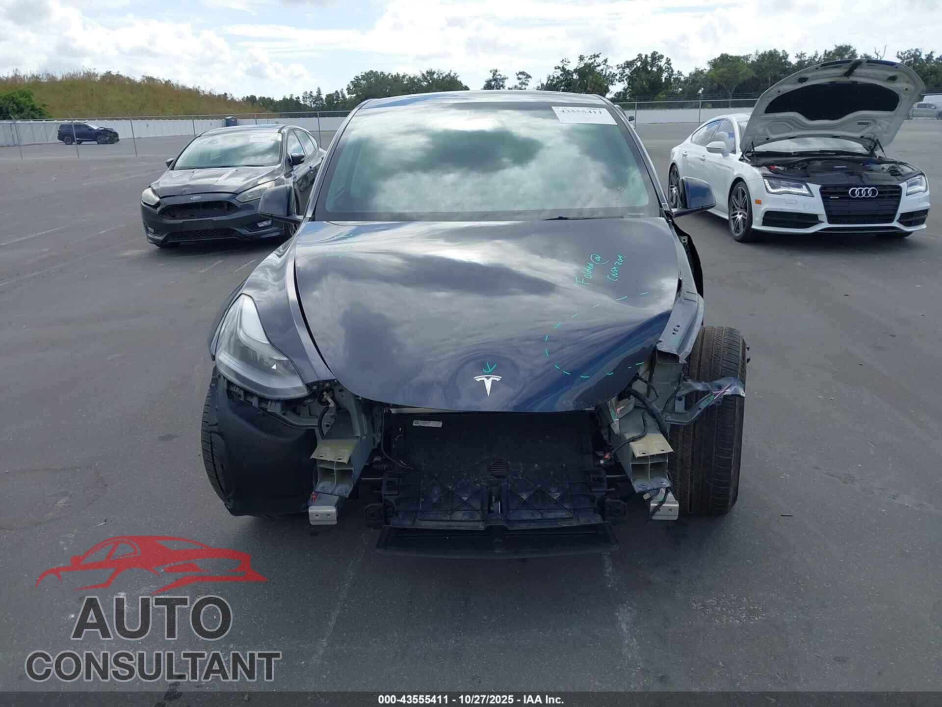 TESLA MODEL Y 2024 - 7SAYGDEF0RF037408