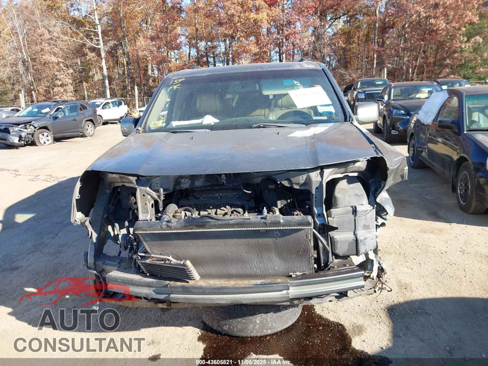 HONDA PILOT 2009 - 5FNYF48569B000981
