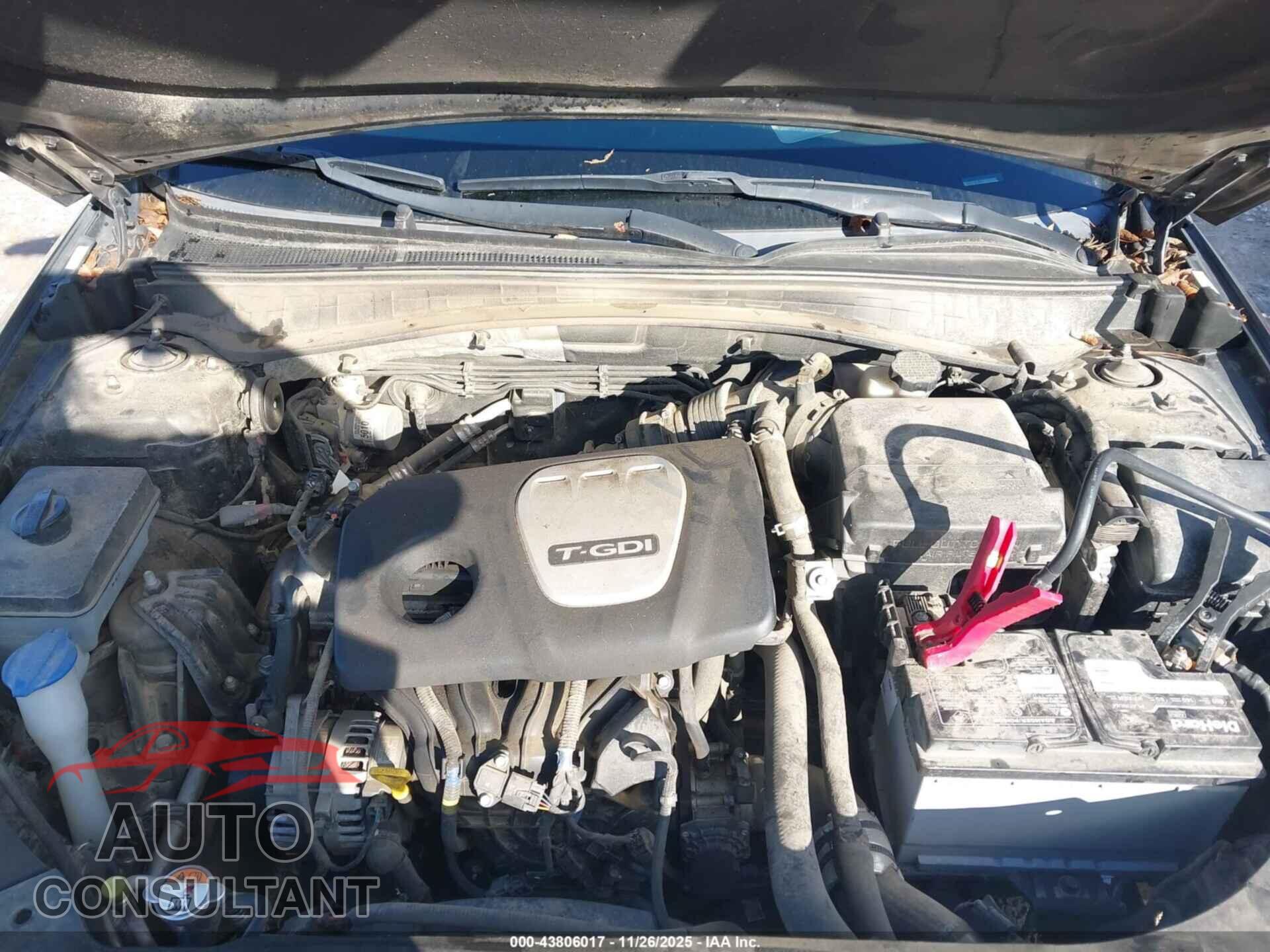 KIA OPTIMA 2016 - 5XXGT4L11GG034202
