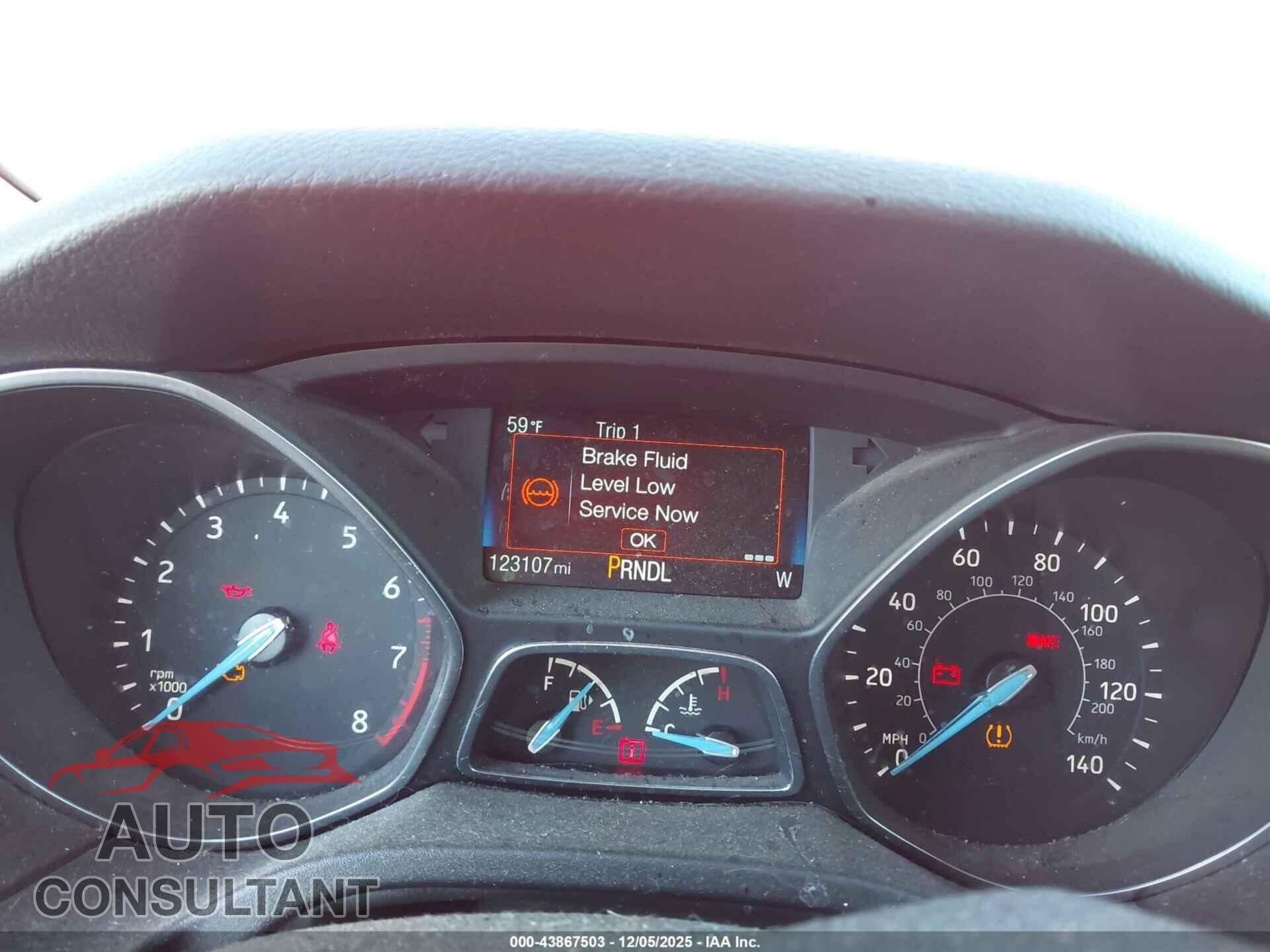 FORD FOCUS 2016 - 1FADP3K29GL213850