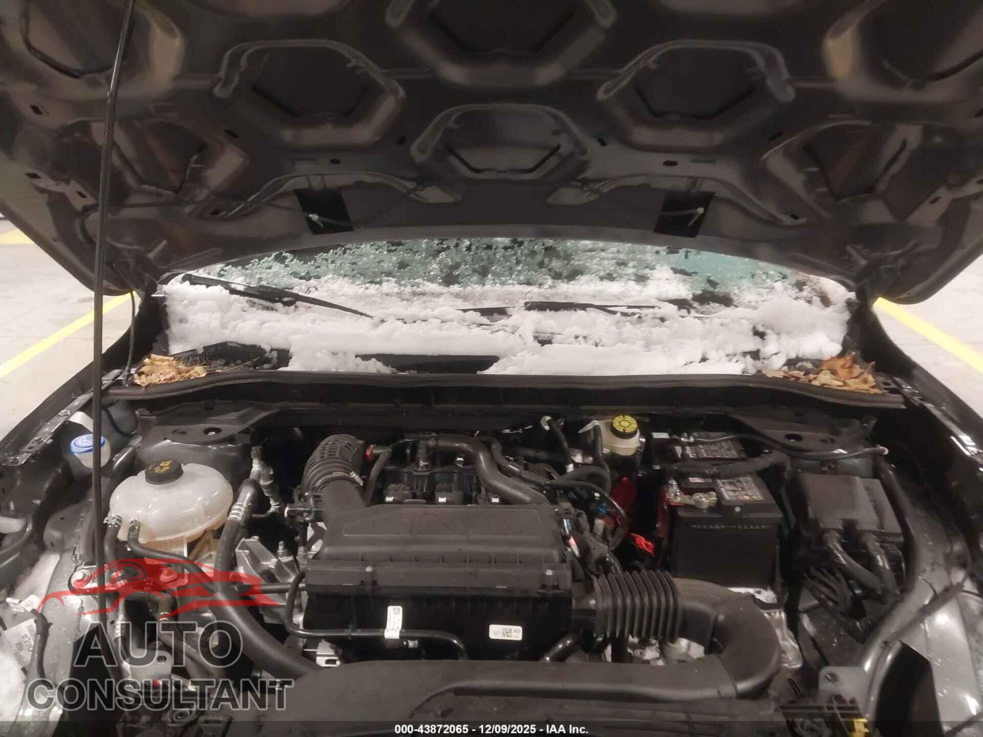 FORD ESCAPE 2025 - 1FMCU9MN4SUB19415