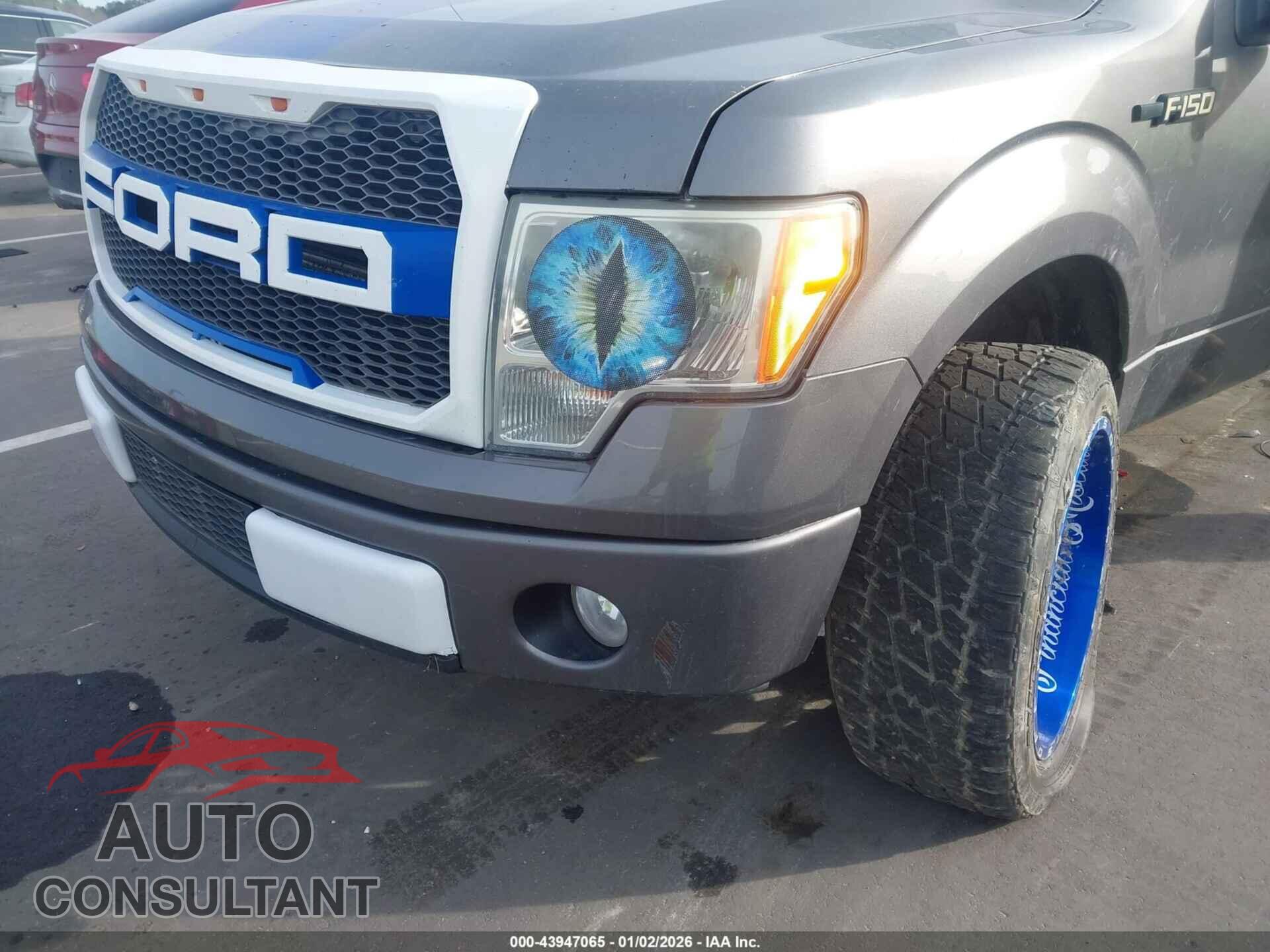 FORD F-150 2013 - 1FTFX1CF8DFC56885