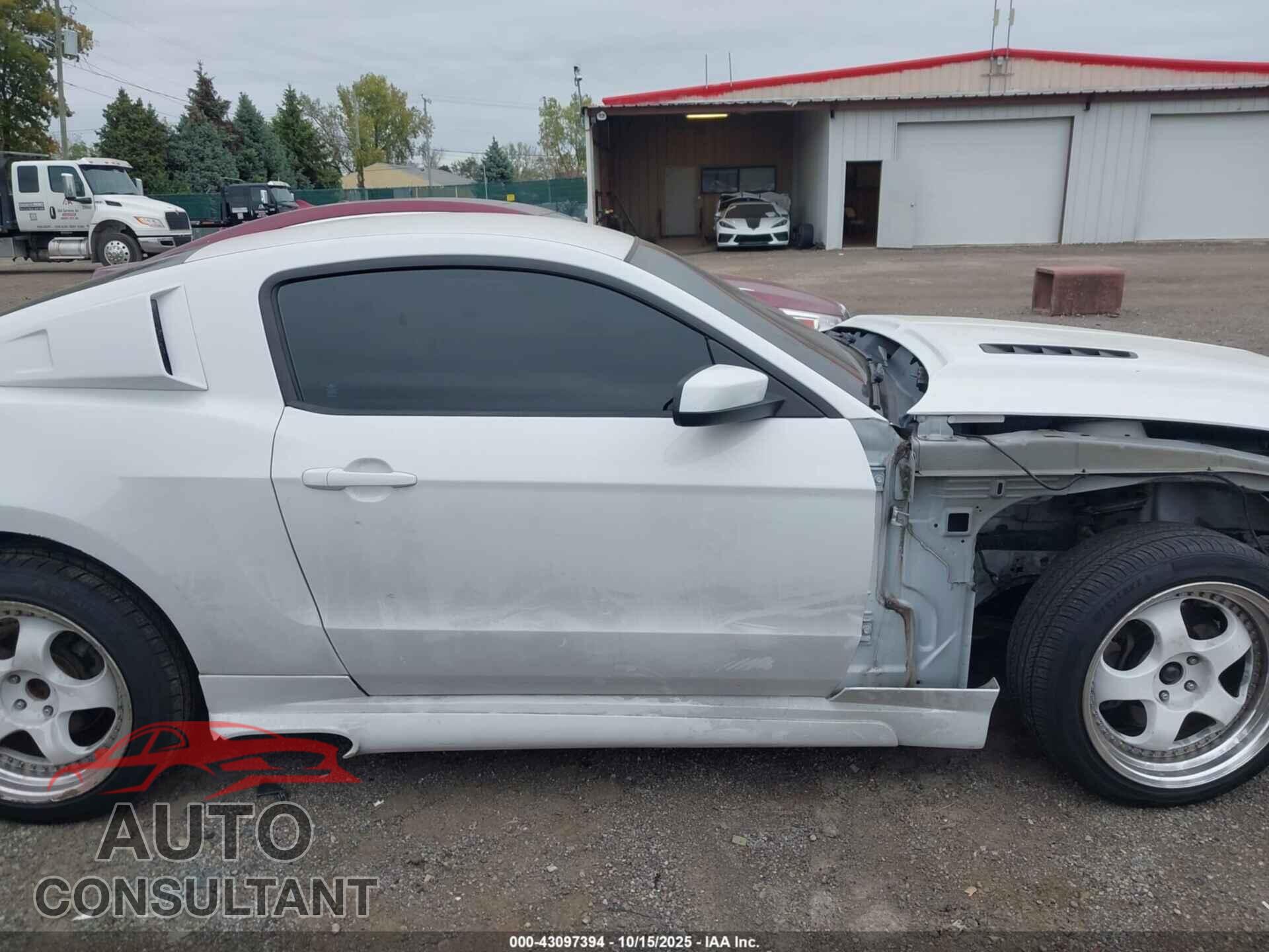 FORD MUSTANG 2014 - 1ZVBP8CF0E5202704