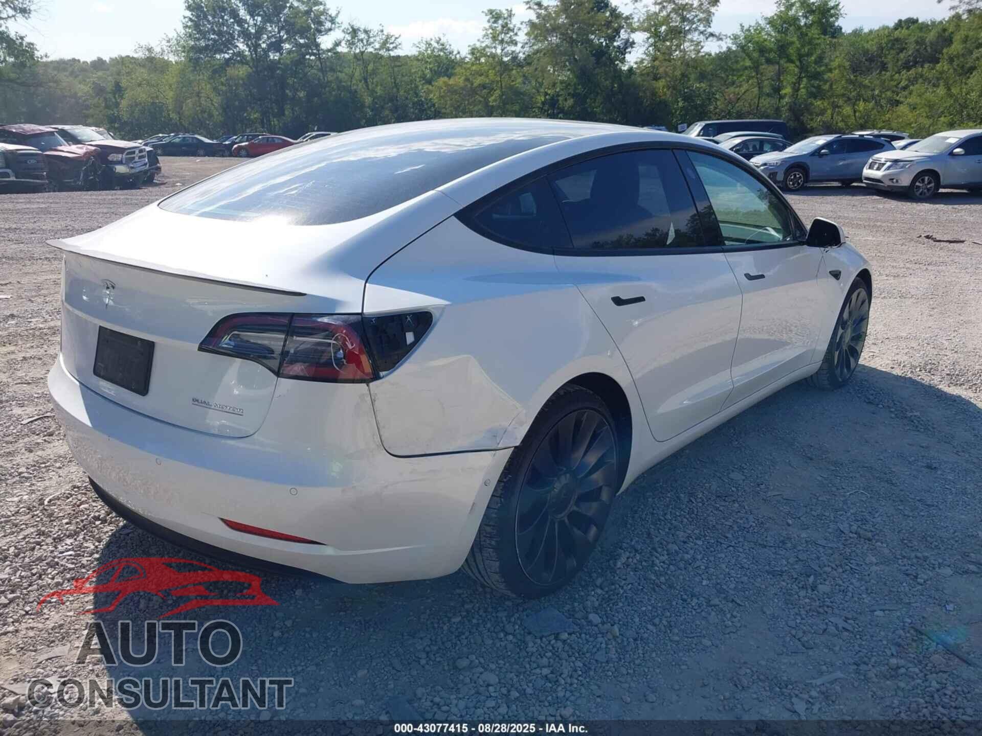 TESLA MODEL 3 2021 - 5YJ3E1EC6MF050285