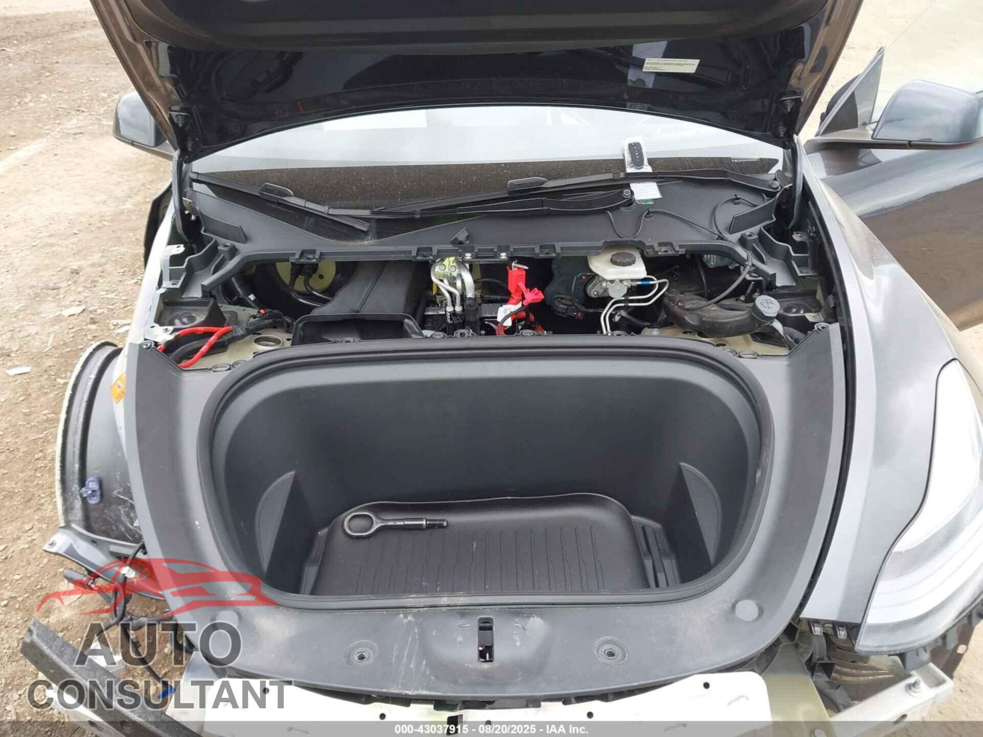 TESLA MODEL Y 2024 - 7SAYGDEFXRF022897