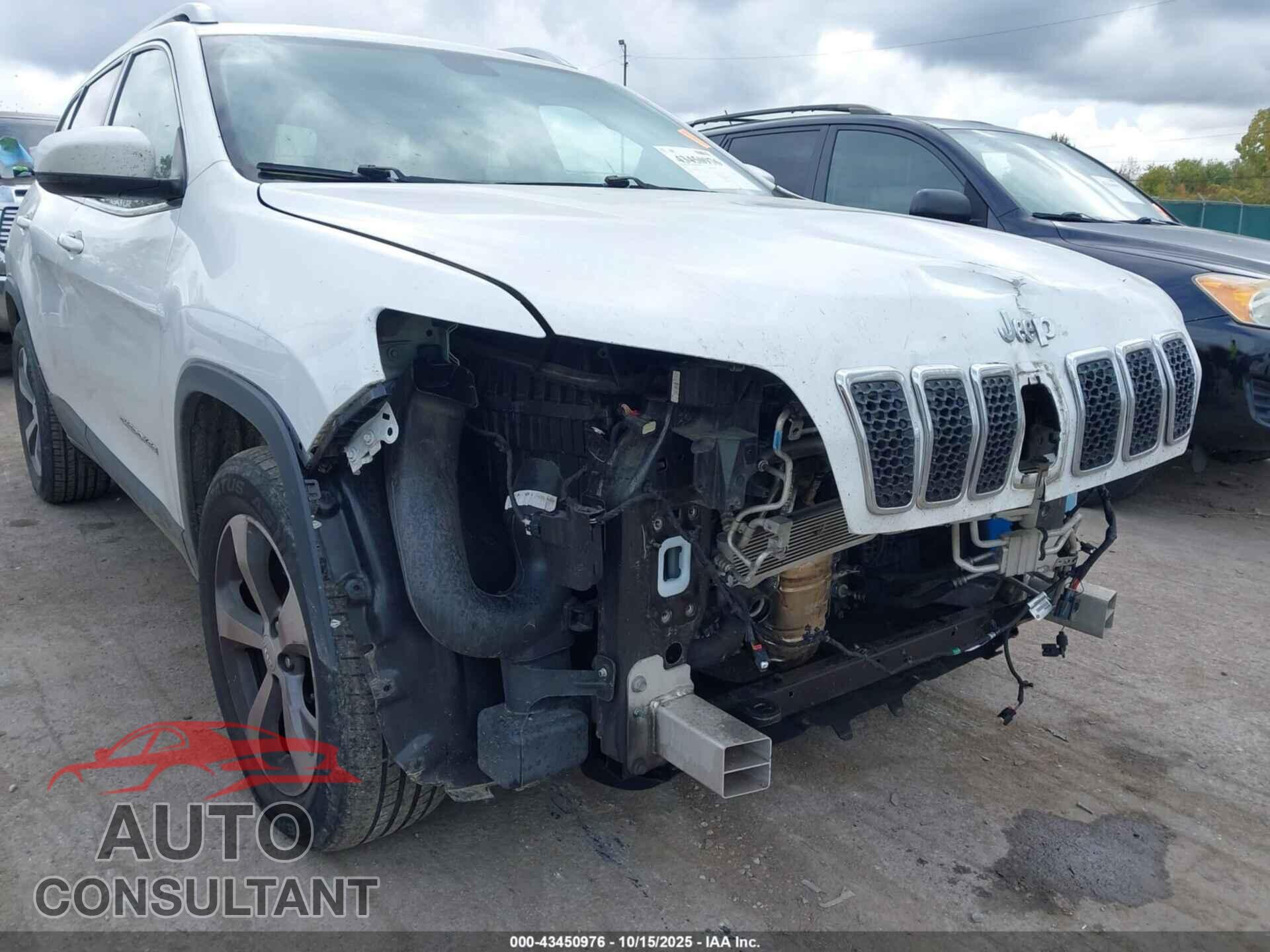 JEEP CHEROKEE 2019 - 1C4PJMDX0KD161762