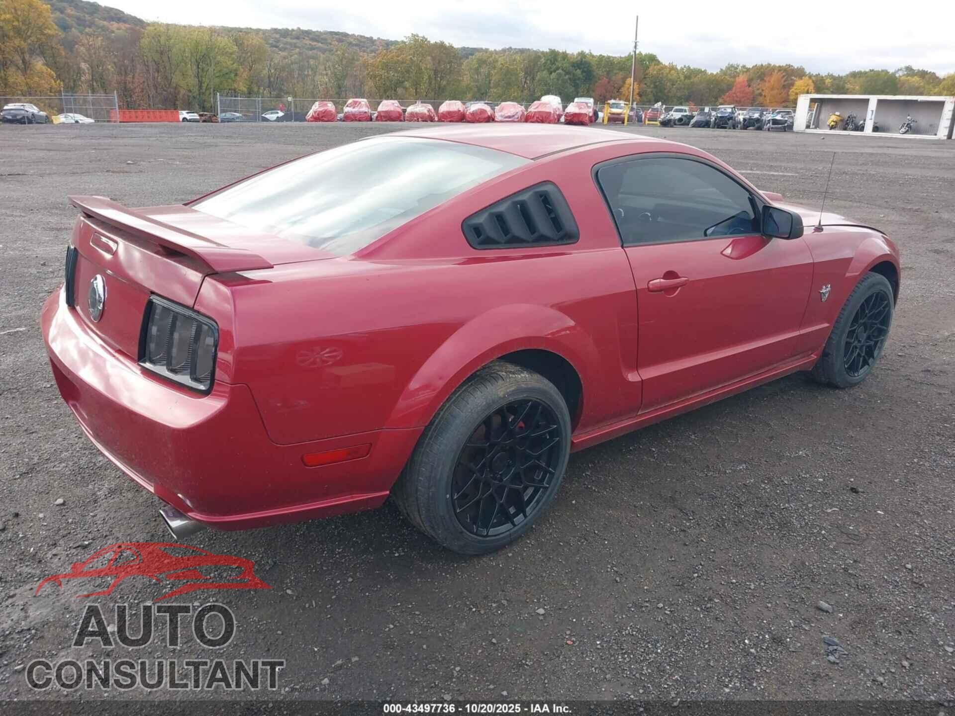 FORD MUSTANG 2009 - 1ZVHT82H195142785