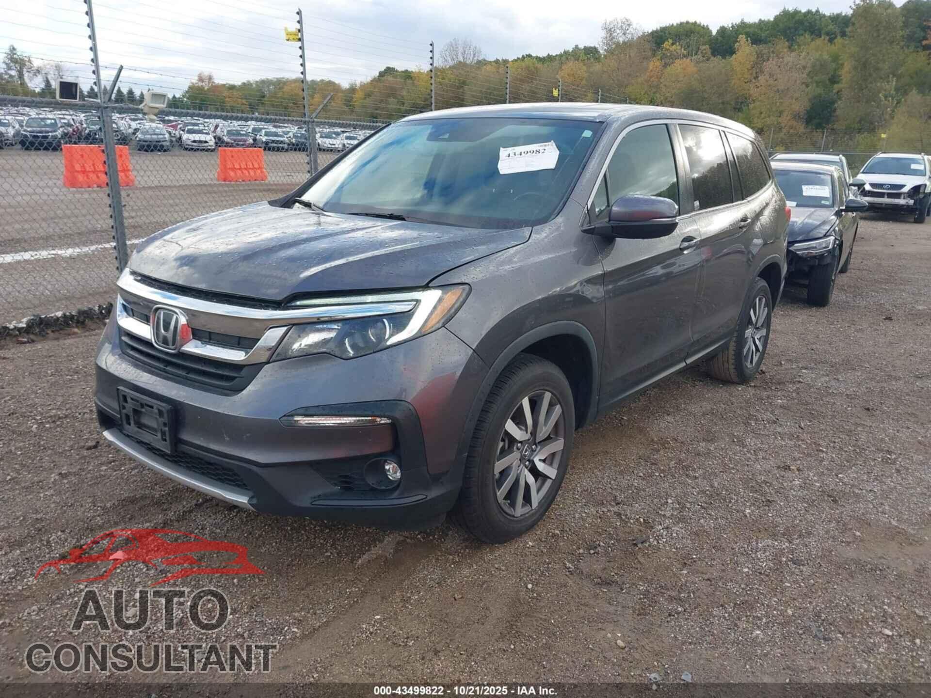 HONDA PILOT 2019 - 5FNYF6H59KB022751