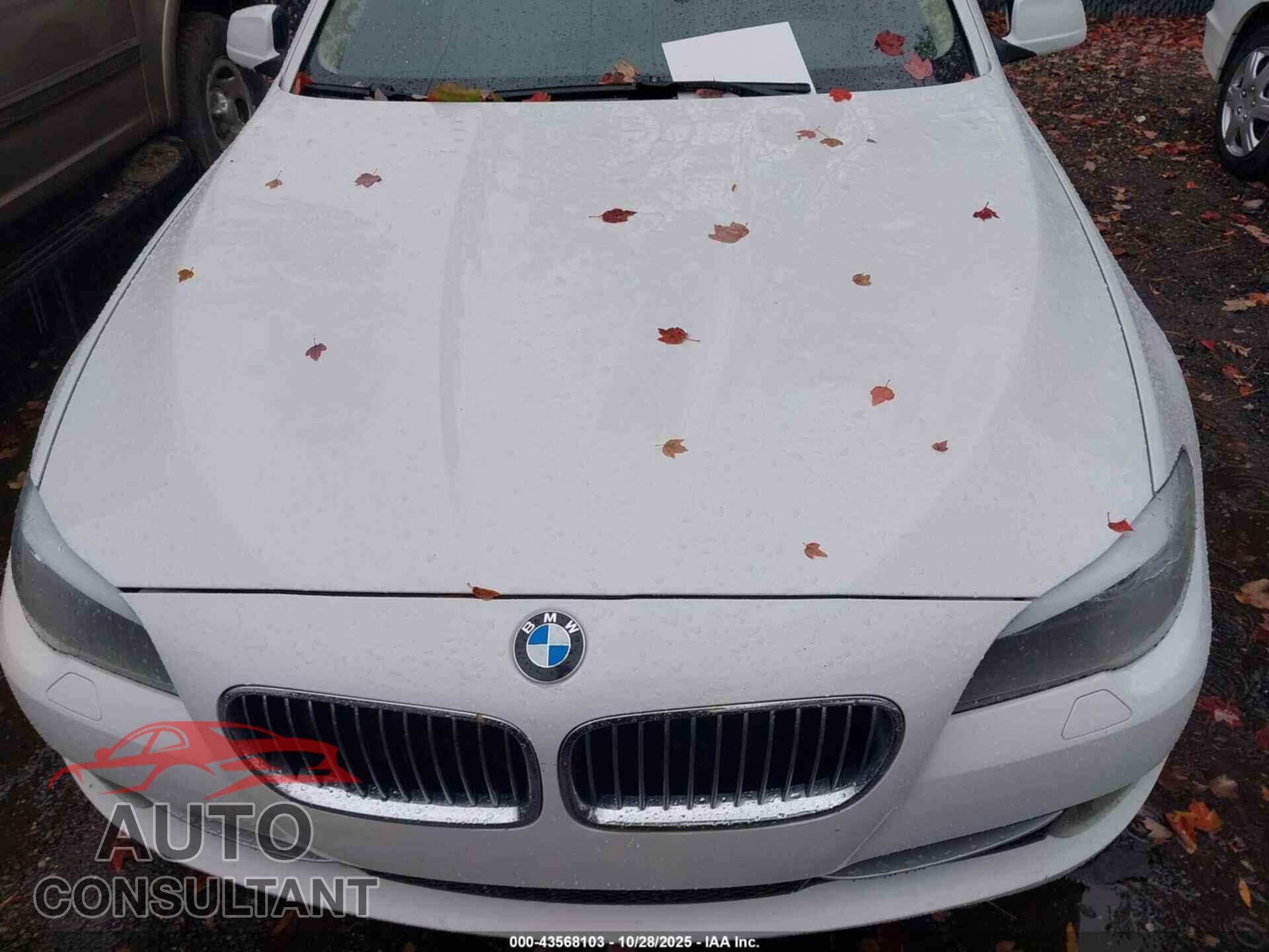 BMW 528I 2013 - WBAXG5C5XDDY31869