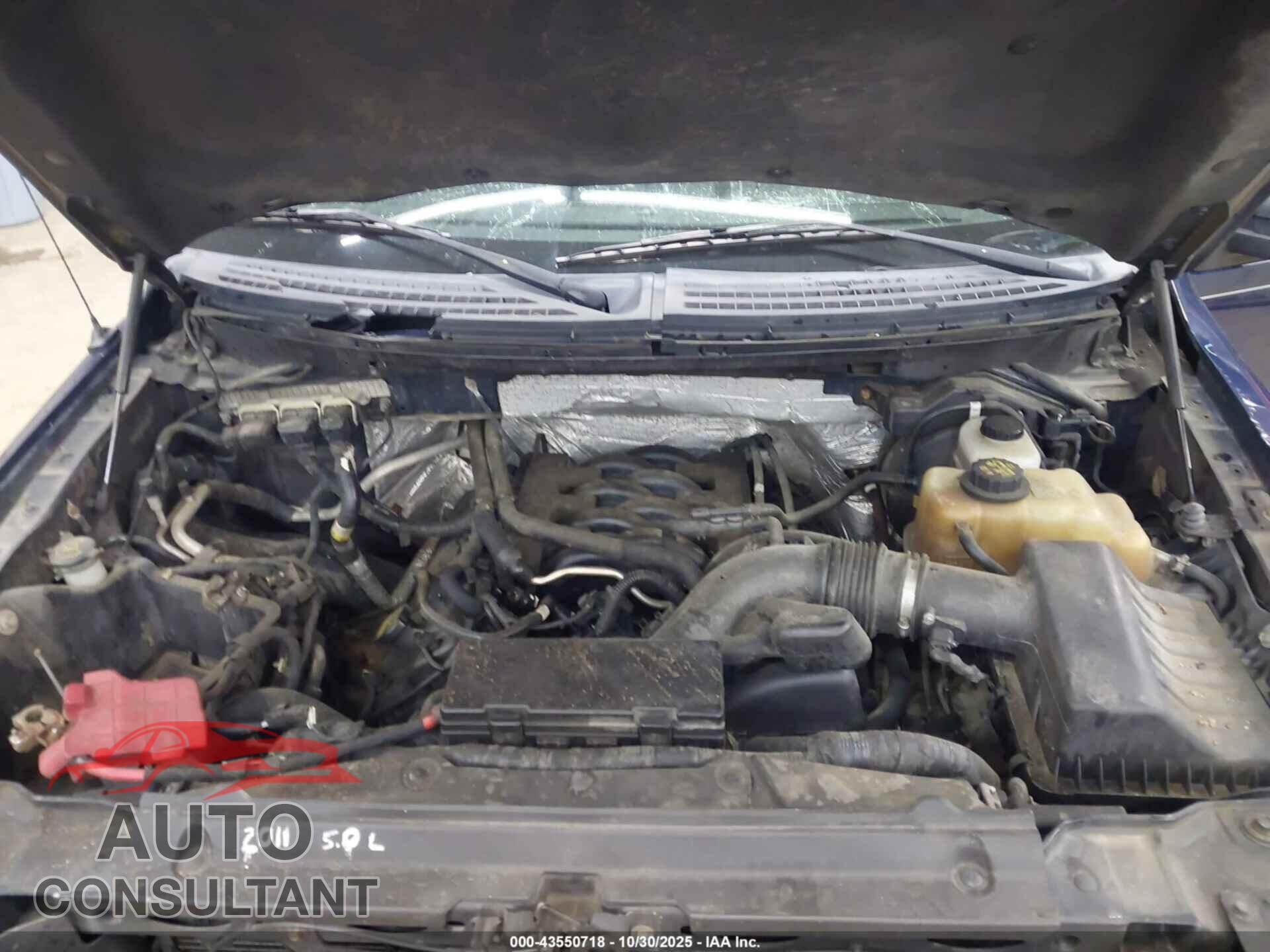 FORD F-150 2011 - 1FTFW1EF1BFA36386