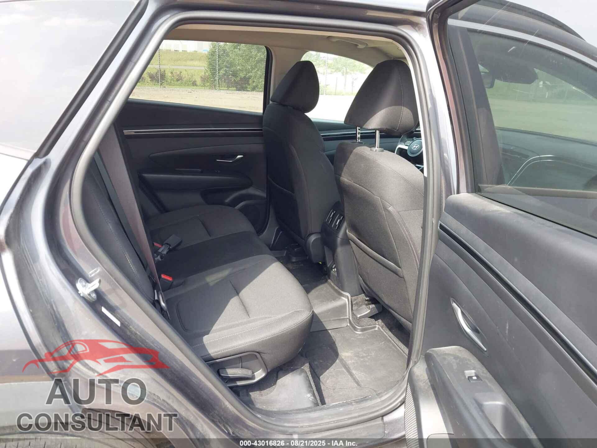 HYUNDAI TUCSON 2023 - KM8JBCAE0PU202376