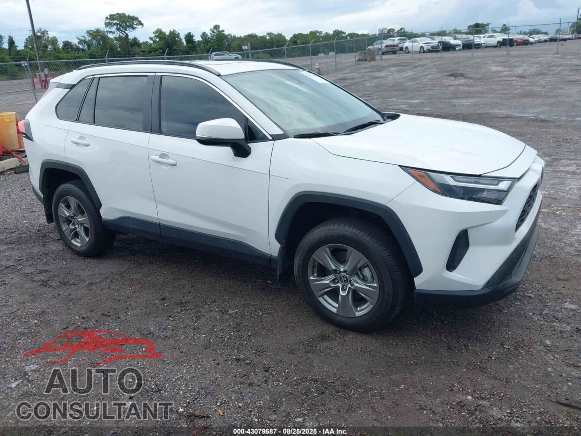 TOYOTA RAV4 2024 - 2T3W1RFV6RC266745