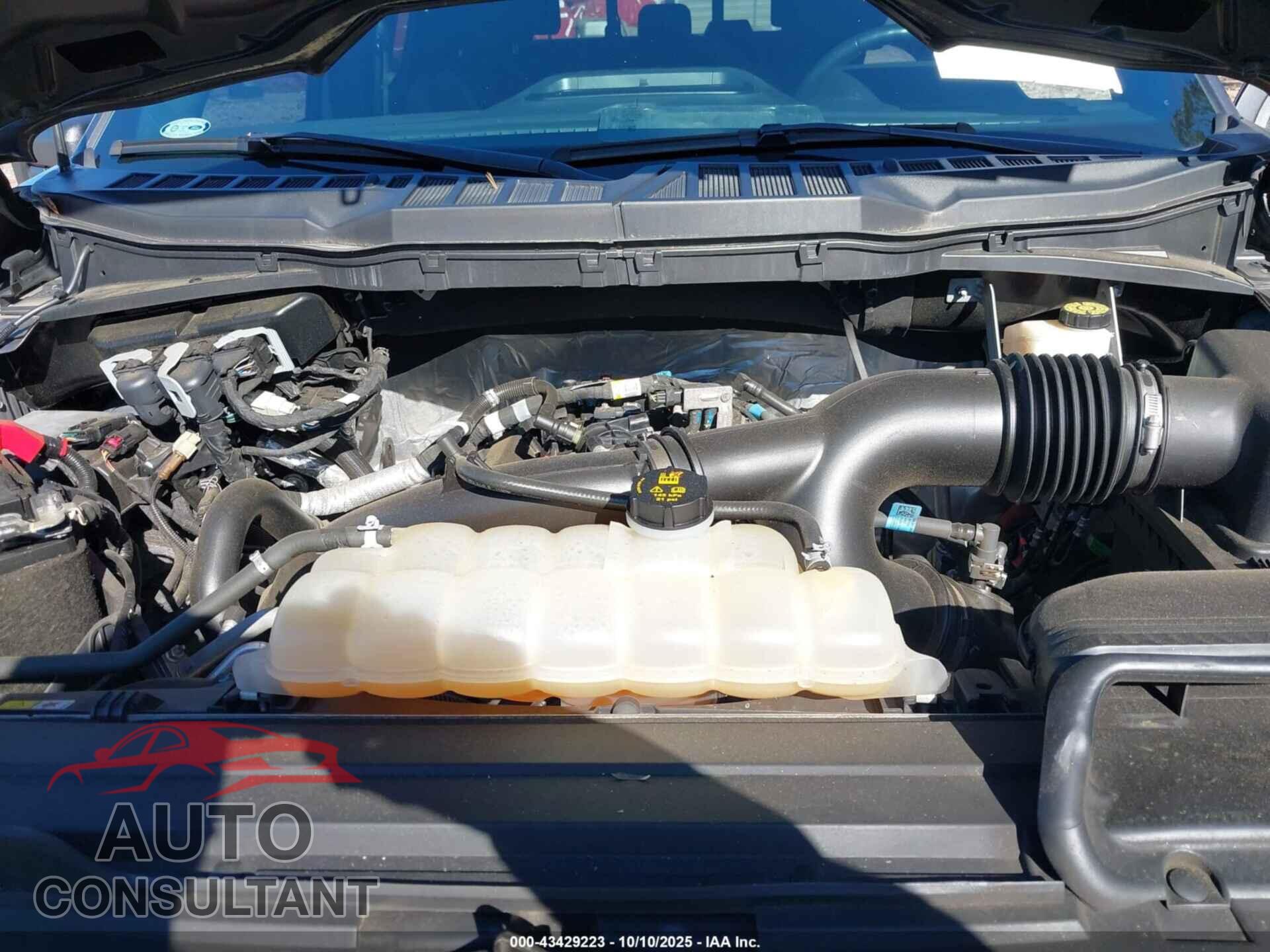 FORD F-150 2021 - 1FTEW1EPXMKF10818