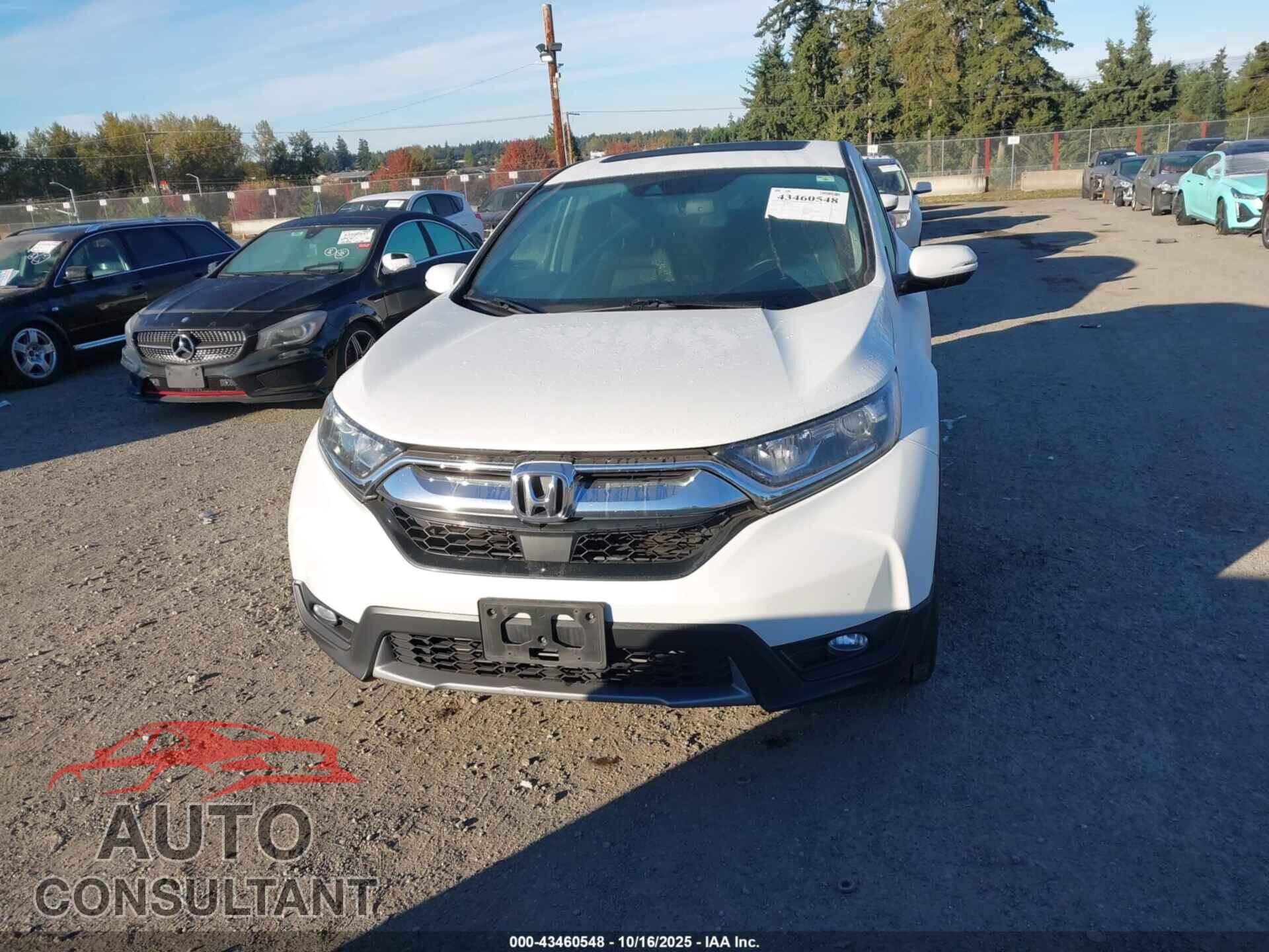 HONDA CR-V 2019 - JHLRW2H87KX019086
