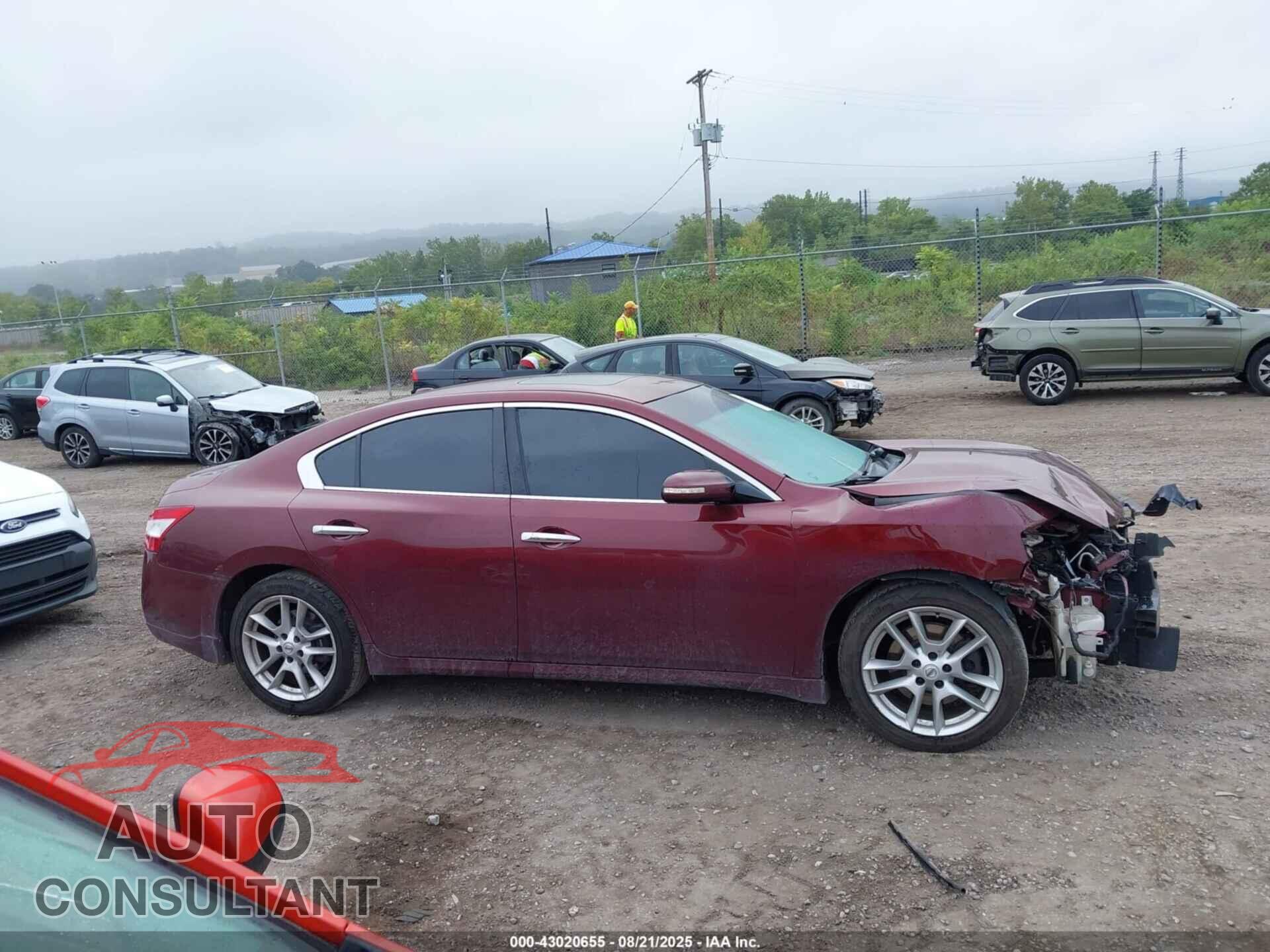 NISSAN MAXIMA 2010 - 1N4AA5AP1AC859744