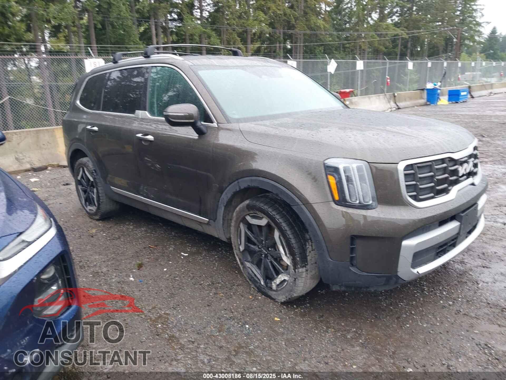 KIA TELLURIDE 2023 - 5XYP6DGC6PG333201