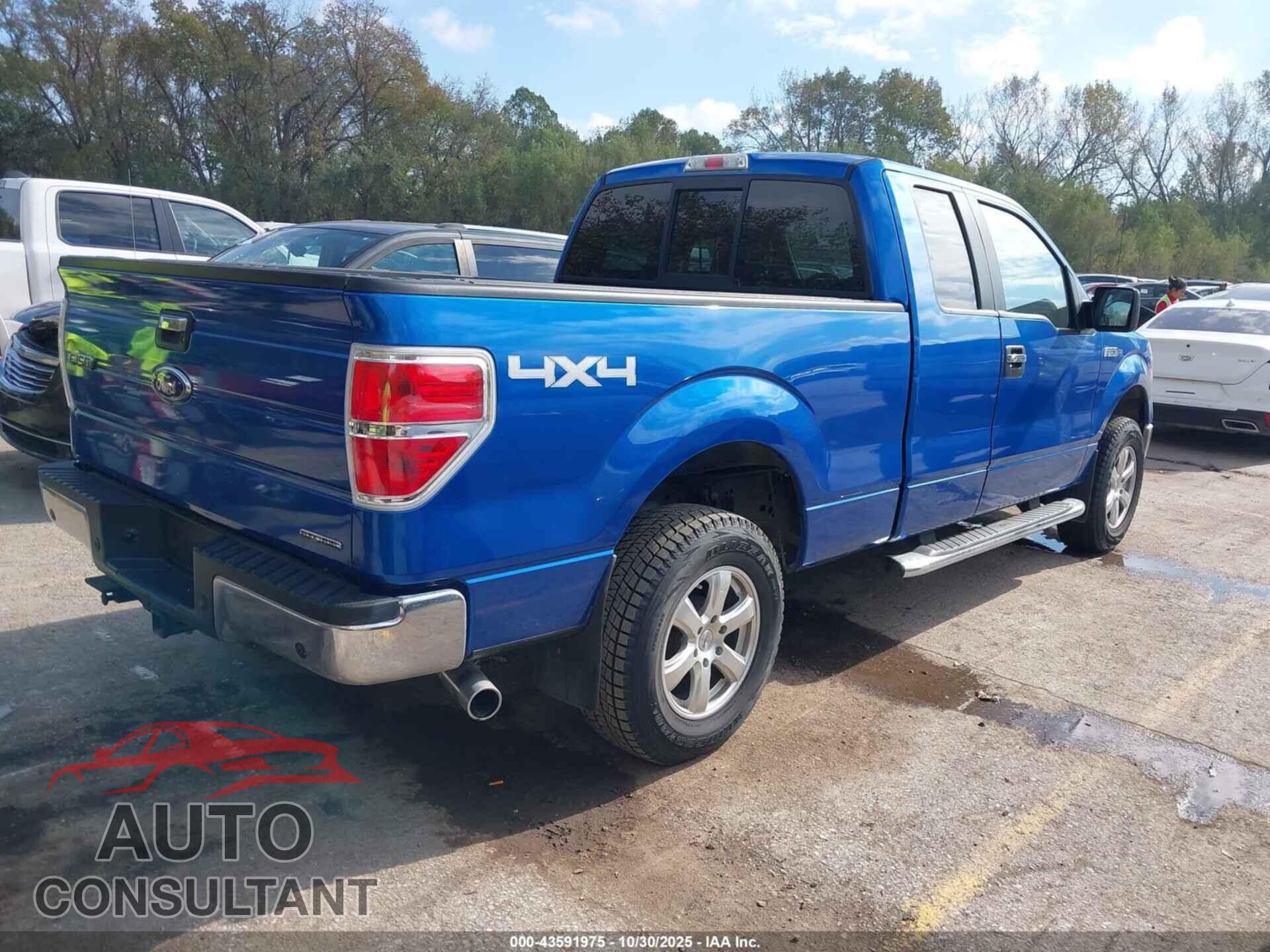 FORD F-150 2011 - 1FTFX1EFXBFC20108
