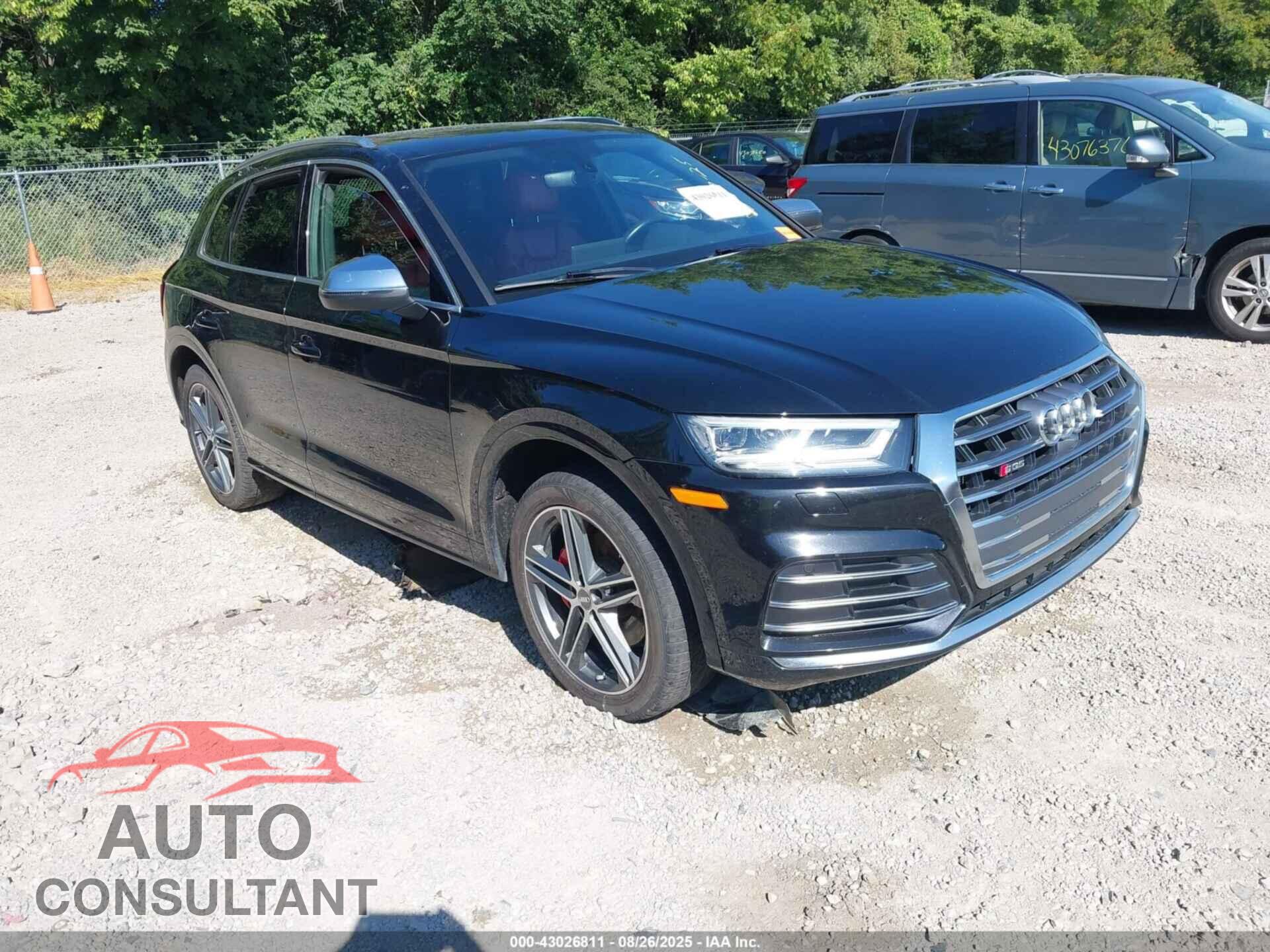 AUDI SQ5 2019 - WA1C4AFY7K2072478